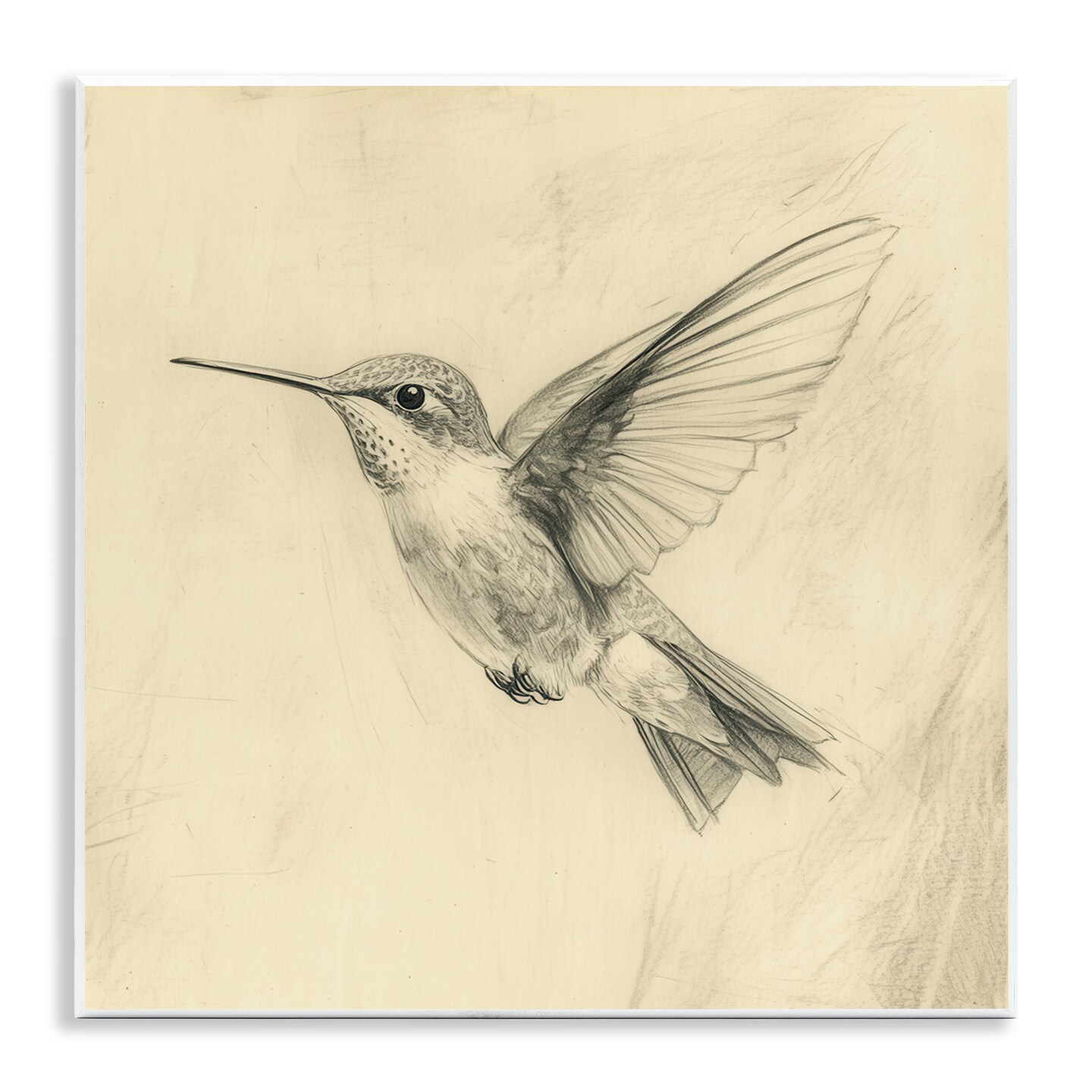 Stupell Industries Vintage Hummingbird Sketch Wall Plaque, design by Petal Prints Design