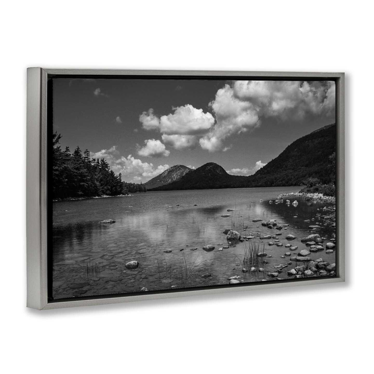 Stupell Industries Cloudy Mountain In The Distance Floating Frame, design by James Rodewald