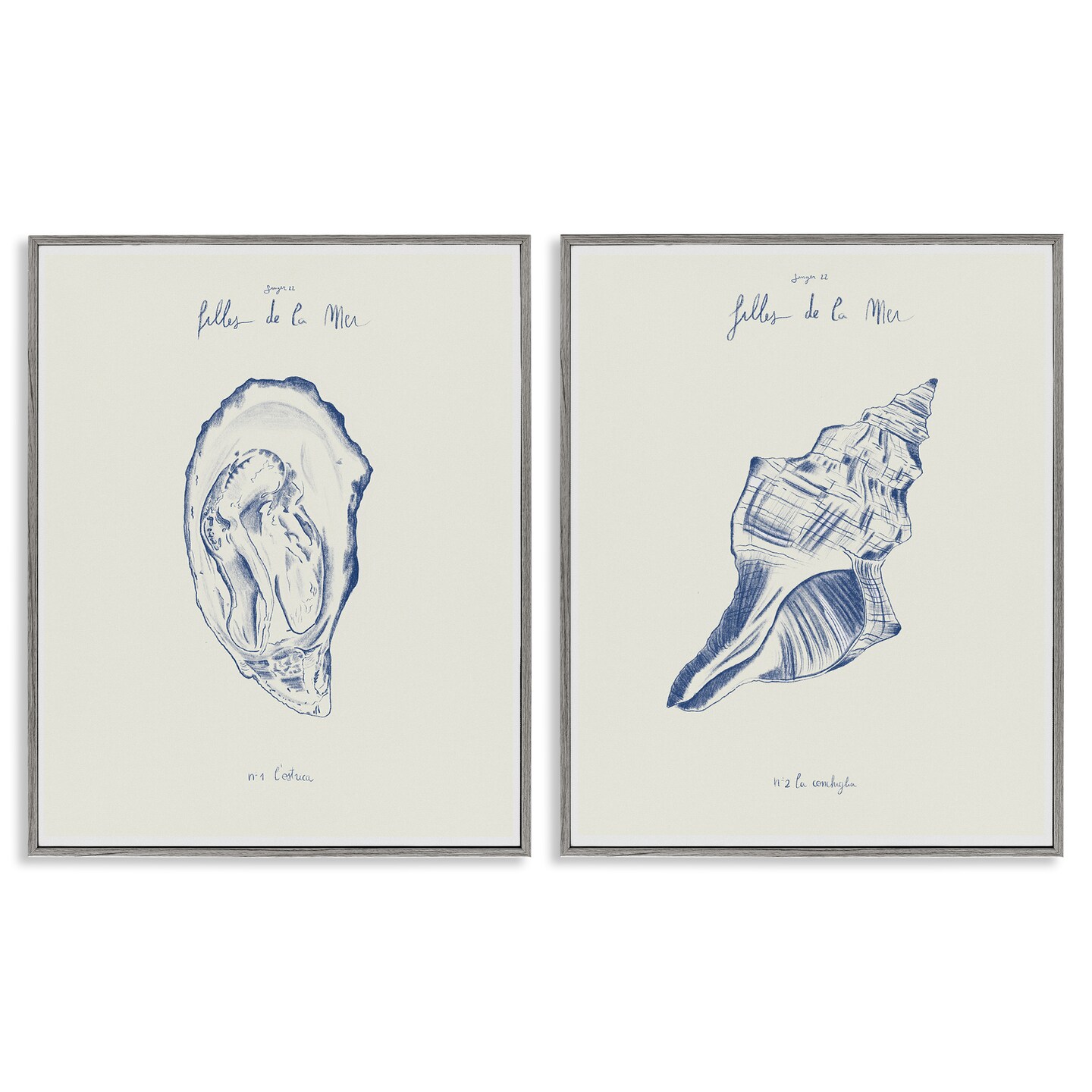 Stupell Industries Oyster & Conch with French Words 2pc Framed Giclee Set, design by 1x