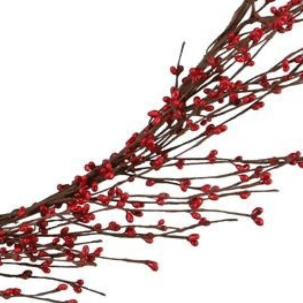 5&#x27; Red Pip Berry Wired Garland
