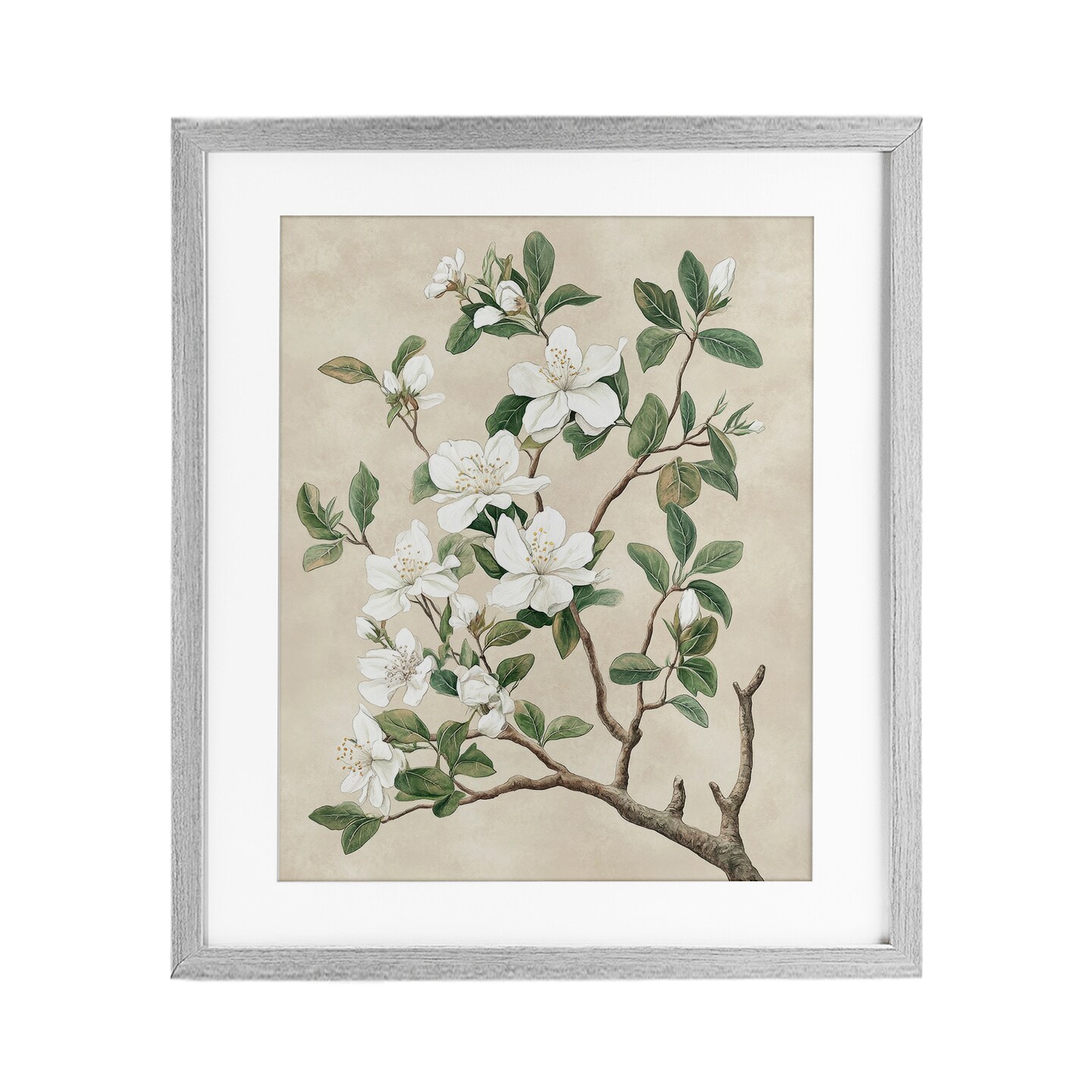 Stupell Industries Vintage White Blossomed Tree Framed Print Under Glass, design by Petal Prints Design