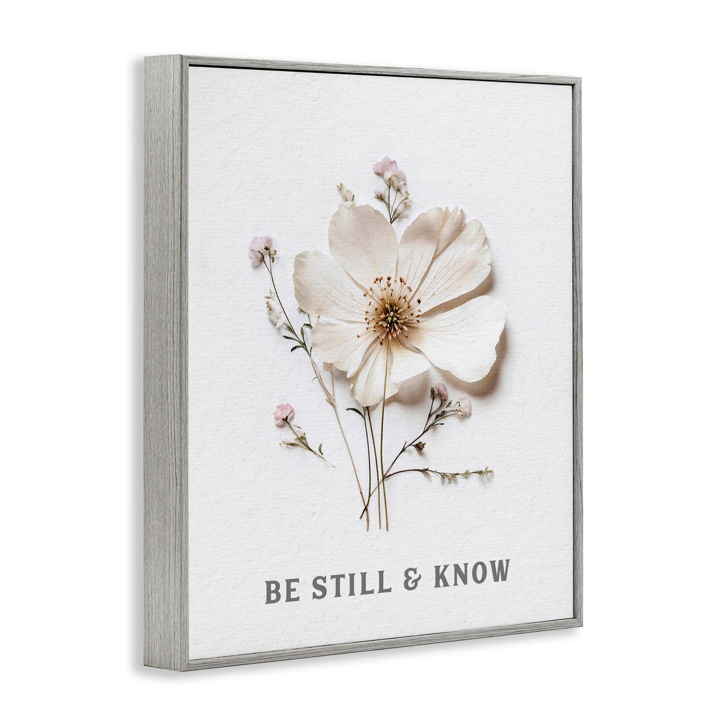Stupell Industries Be Still & Know Pressed Flowers Framed Giclee, design by Lettered and Lined