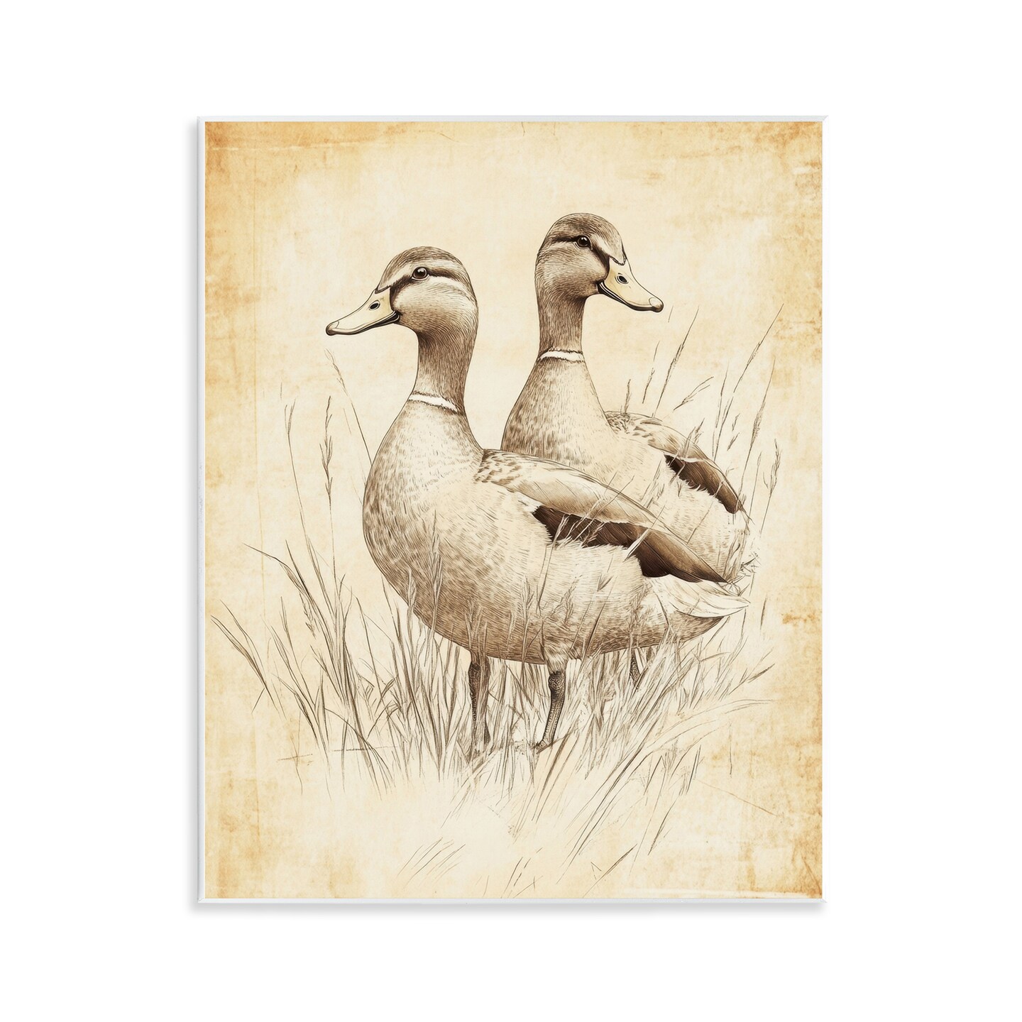 Stupell Industries Vintage Pair of Ducks Wall Plaque, design by Petal Prints Design