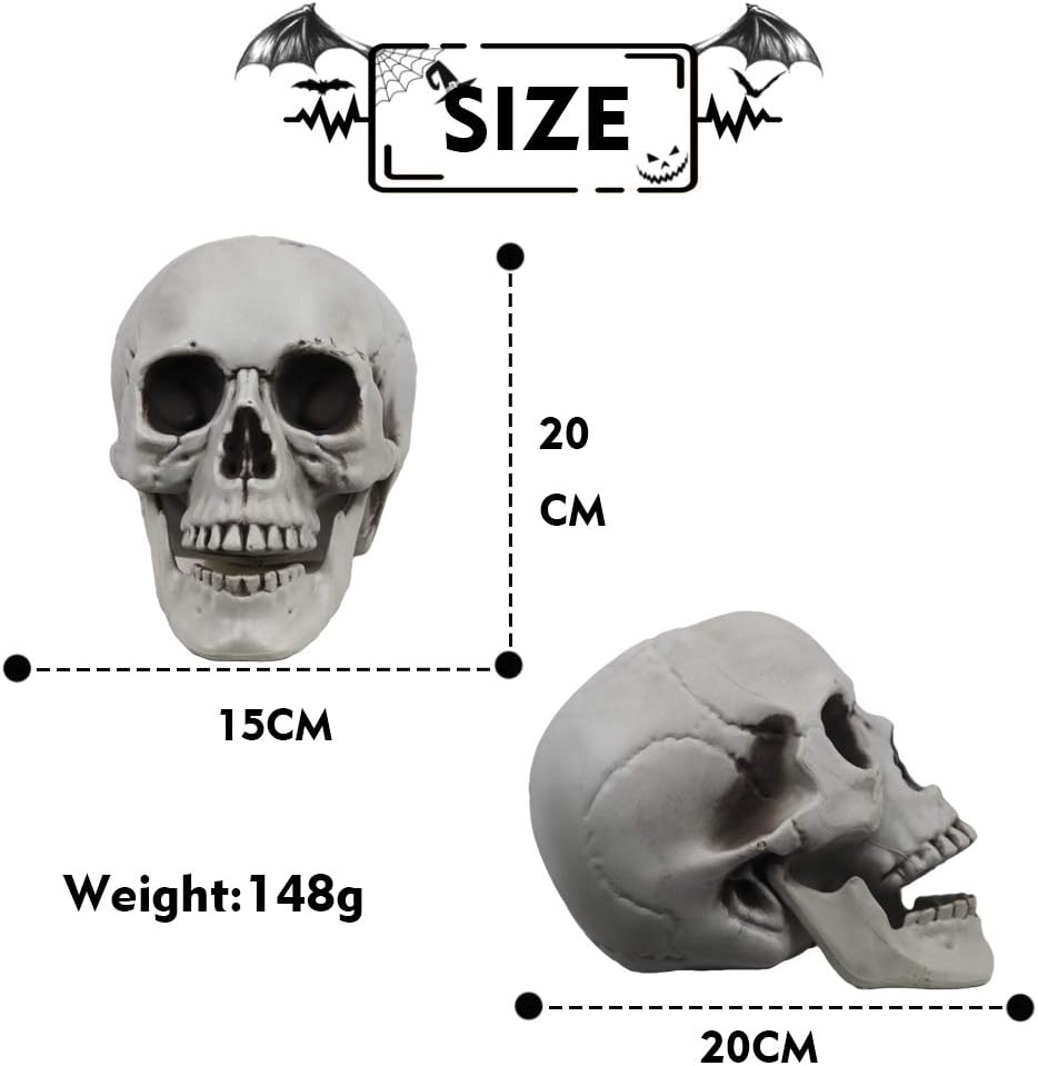 Life Size Skeleton Skull for Halloween Decor Graveyard Outdoor White