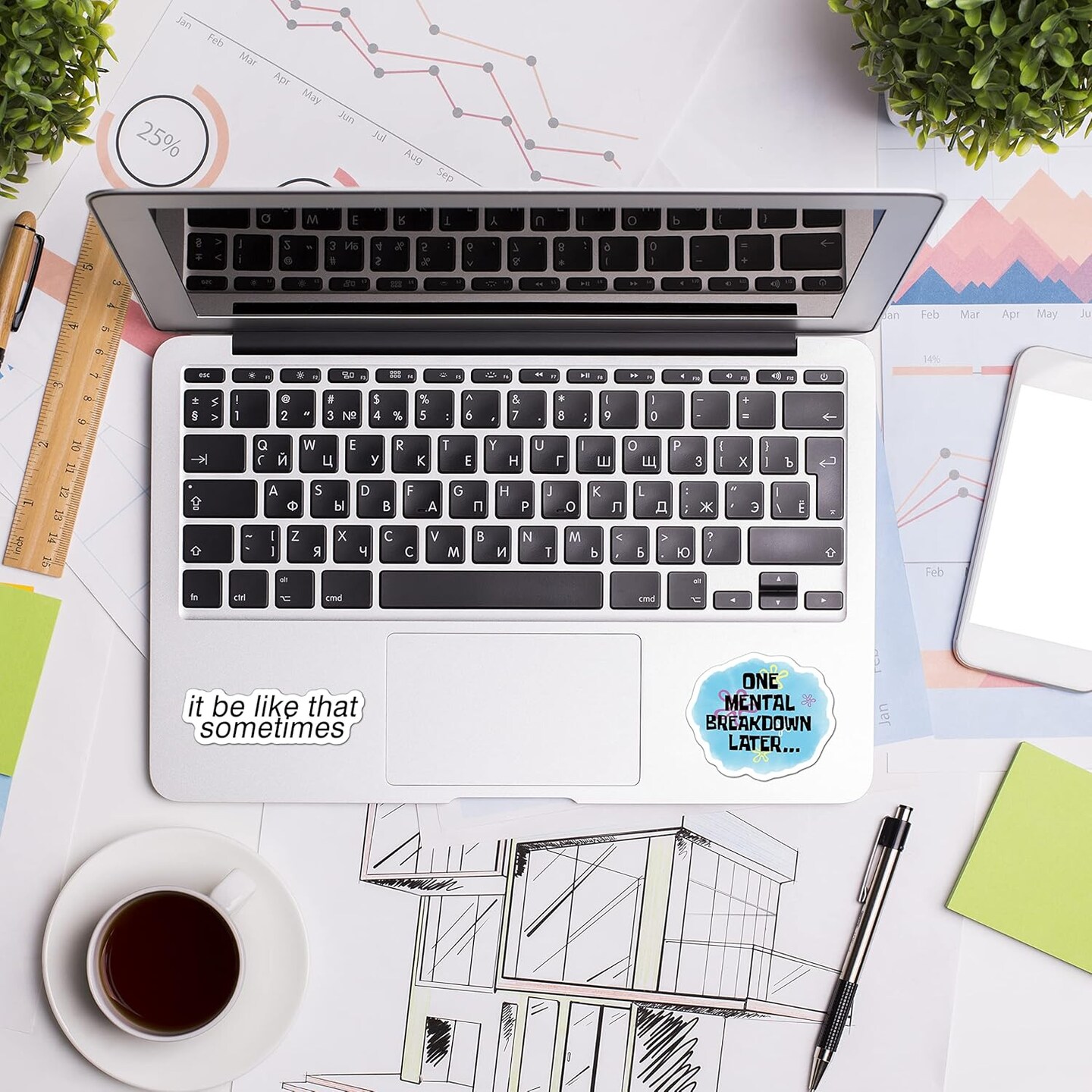 306pcs Funny Meme Vinyl Stickers Pack, Large Bulk Sticker for Laptop