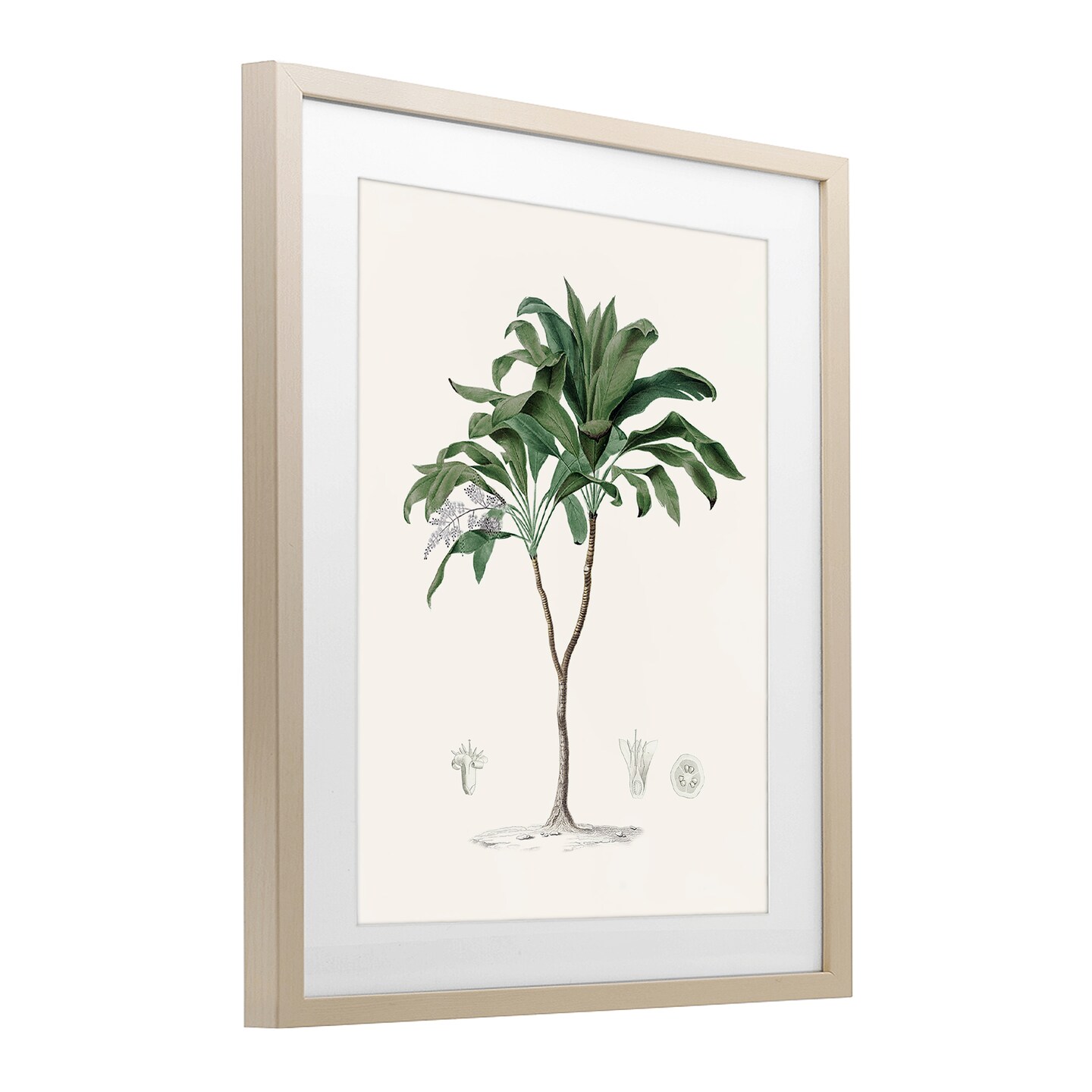 Stupell Industries Coastal Palms Vintage Framed Print Under Glass, design by Val Rhodes