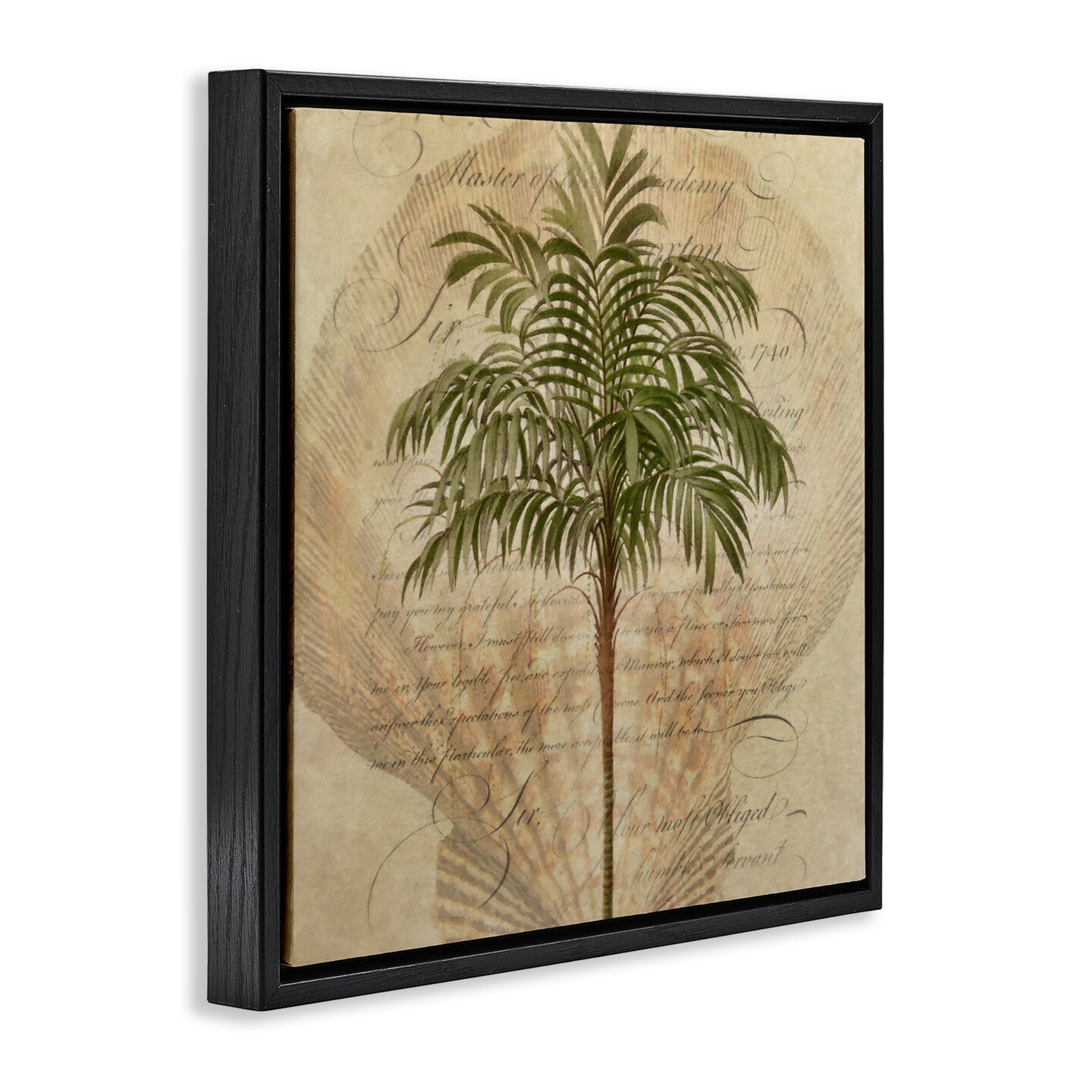 Stupell Industries Subdued Tropics Palm Floating Frame, design by Steve Hunziker