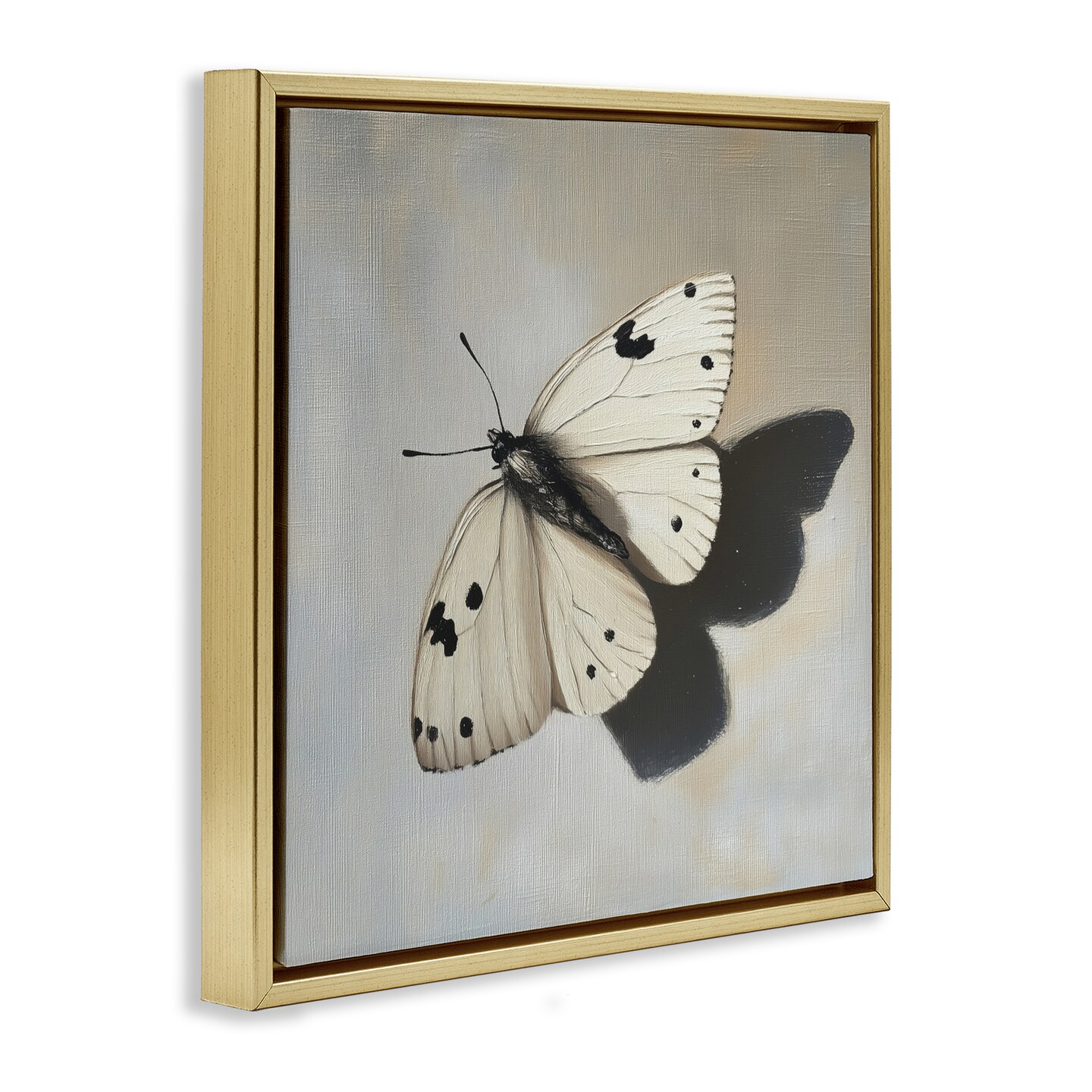 Stupell Industries Velvet's Butterfly Wings Floating Frame, design by Svetlana Aleynikova