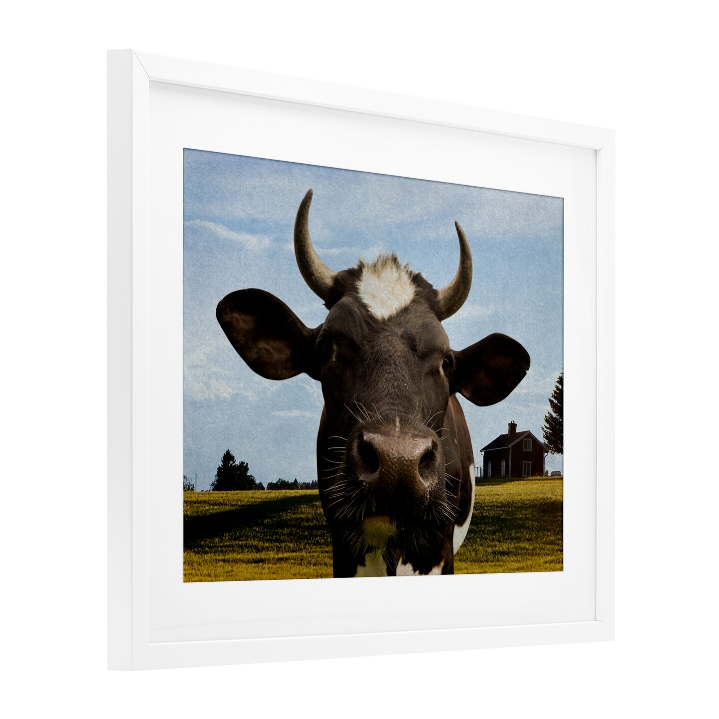 Stupell Industries Farm Cow with Curved Horns Framed Print Under Glass, design by Marcus Prime