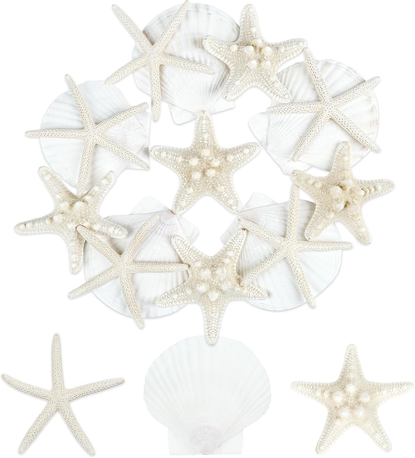 15 PCS Starfish and Scallop Shells, 2&#x22;-4&#x22; Natural Seashells White Seashells Large Seashells for Crafts Wedding Decor Beach Theme Party, Fish Tank and Vase Filler