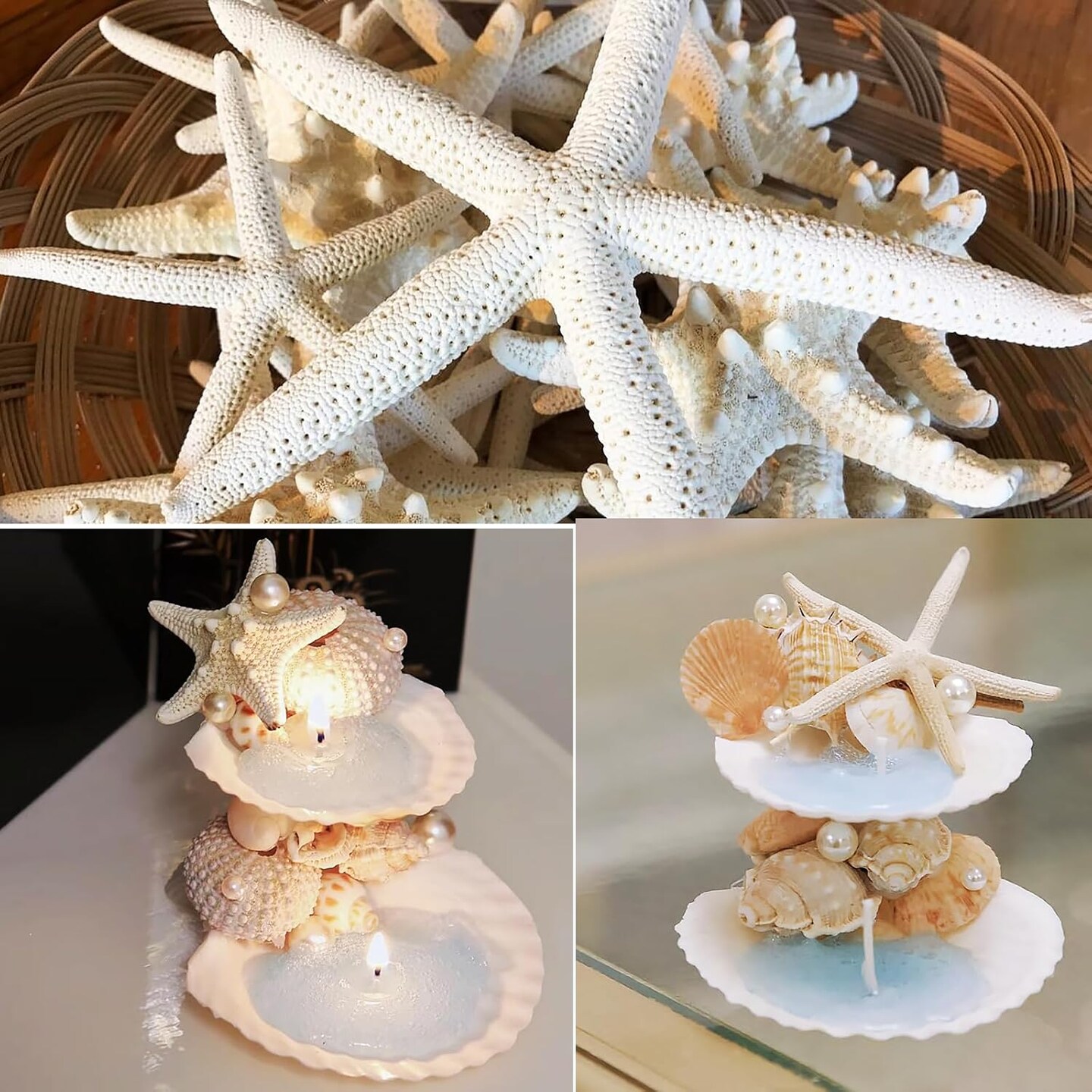 12 PCS Large Starfish and Large Scallop Shells, 2"-5" Natural White Seashells for Crafts Wedding Decor Beach Theme Party, Fish Tank and Vase Filler