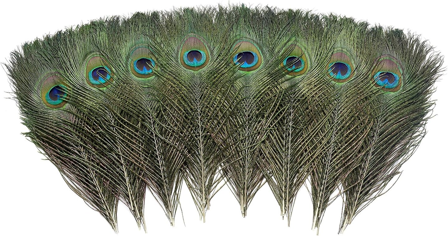 120 PCS Real Natural Peacock Eye Feathers