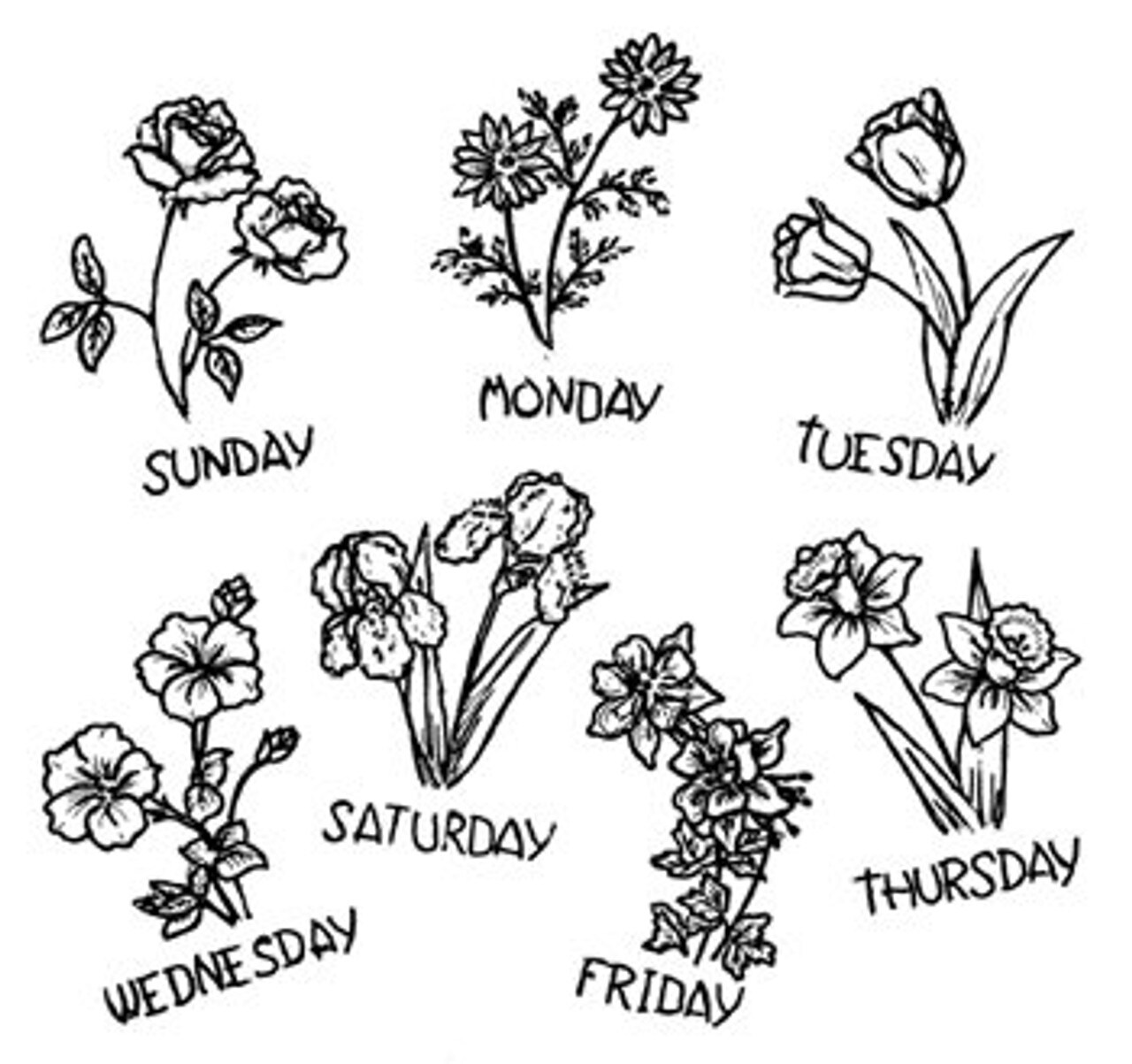 Aunt Martha's Flowers for Everyday 3931 days of the week embroidery iron on pattern