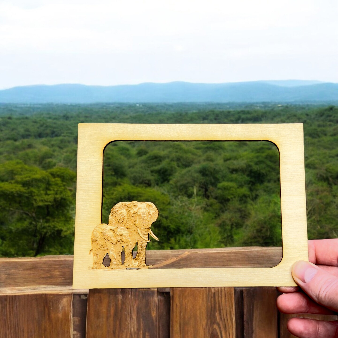 Elephant Photo frame insert (FRAME NOT INCLUDED)