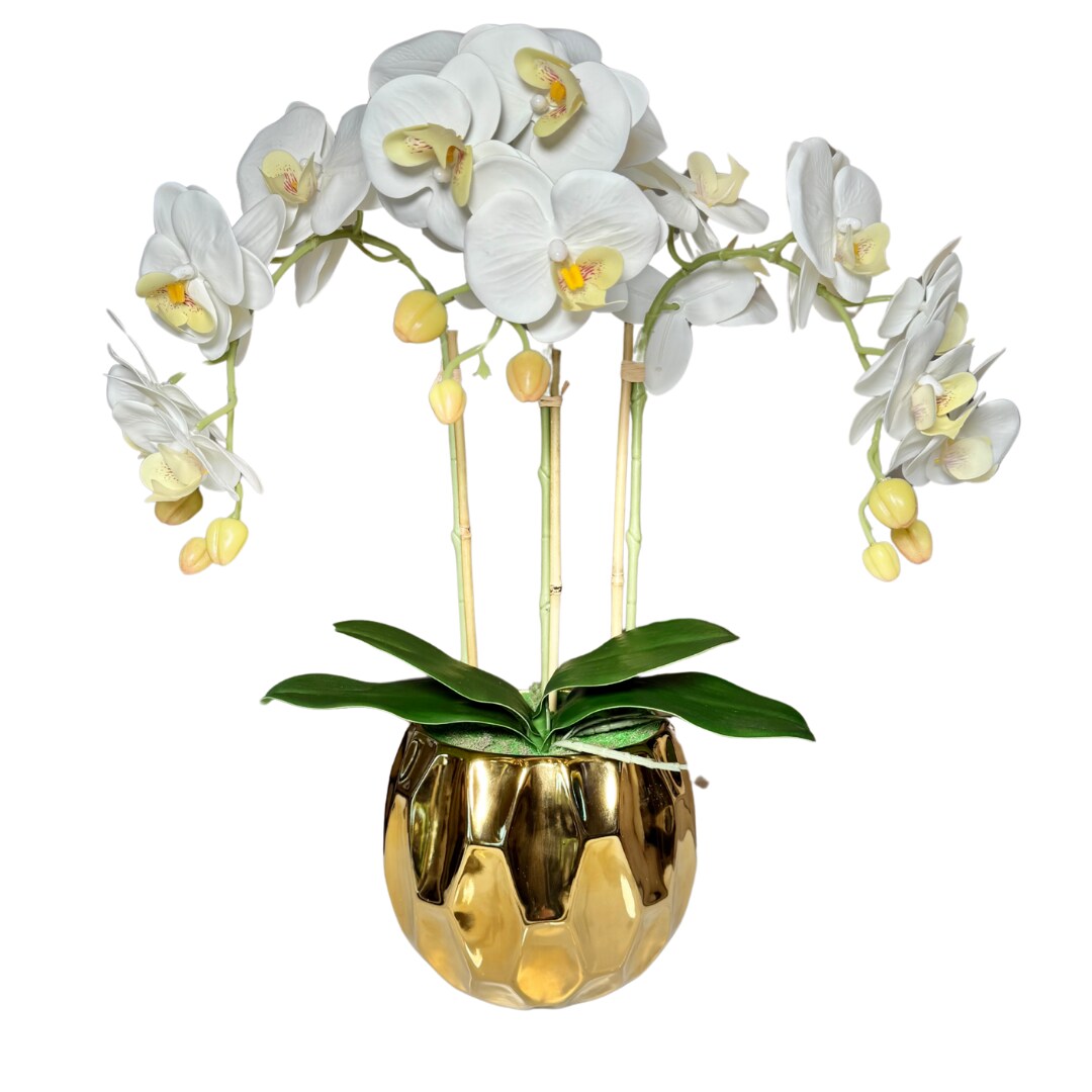 Amira Large Real Touch Phalaenopsis Orchid Floral Arrangement in Round Ribbed Gold Vase