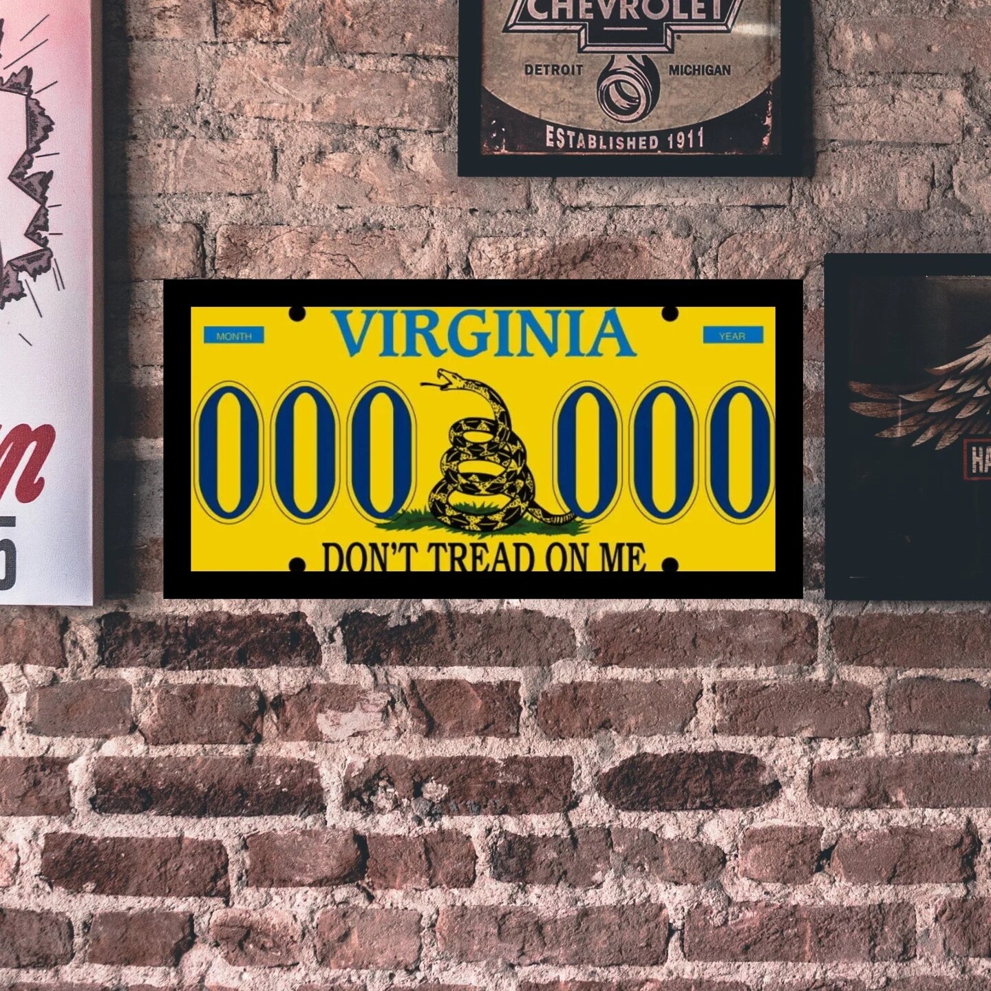 6 x 3 License Plate Frame - Custom Picture Frame for Small scooters / Mopeds / Custom tags
