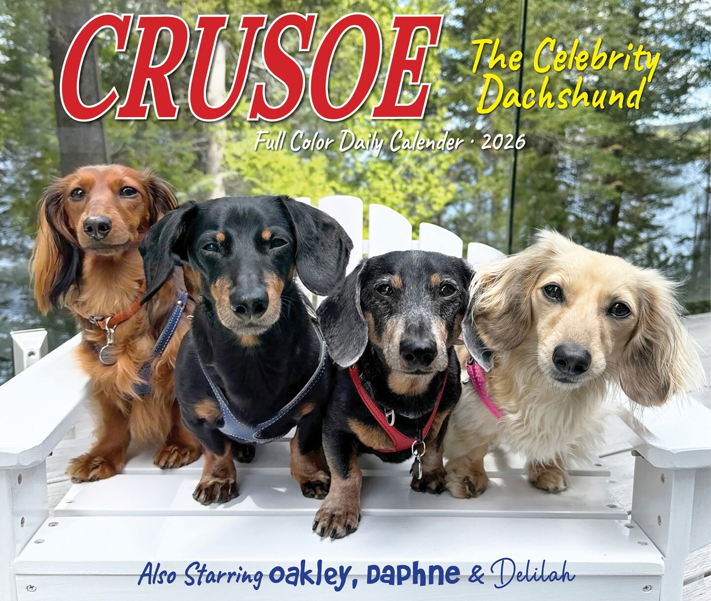 Crusoe the Celebrity Dachshund 2026 Box Calendar