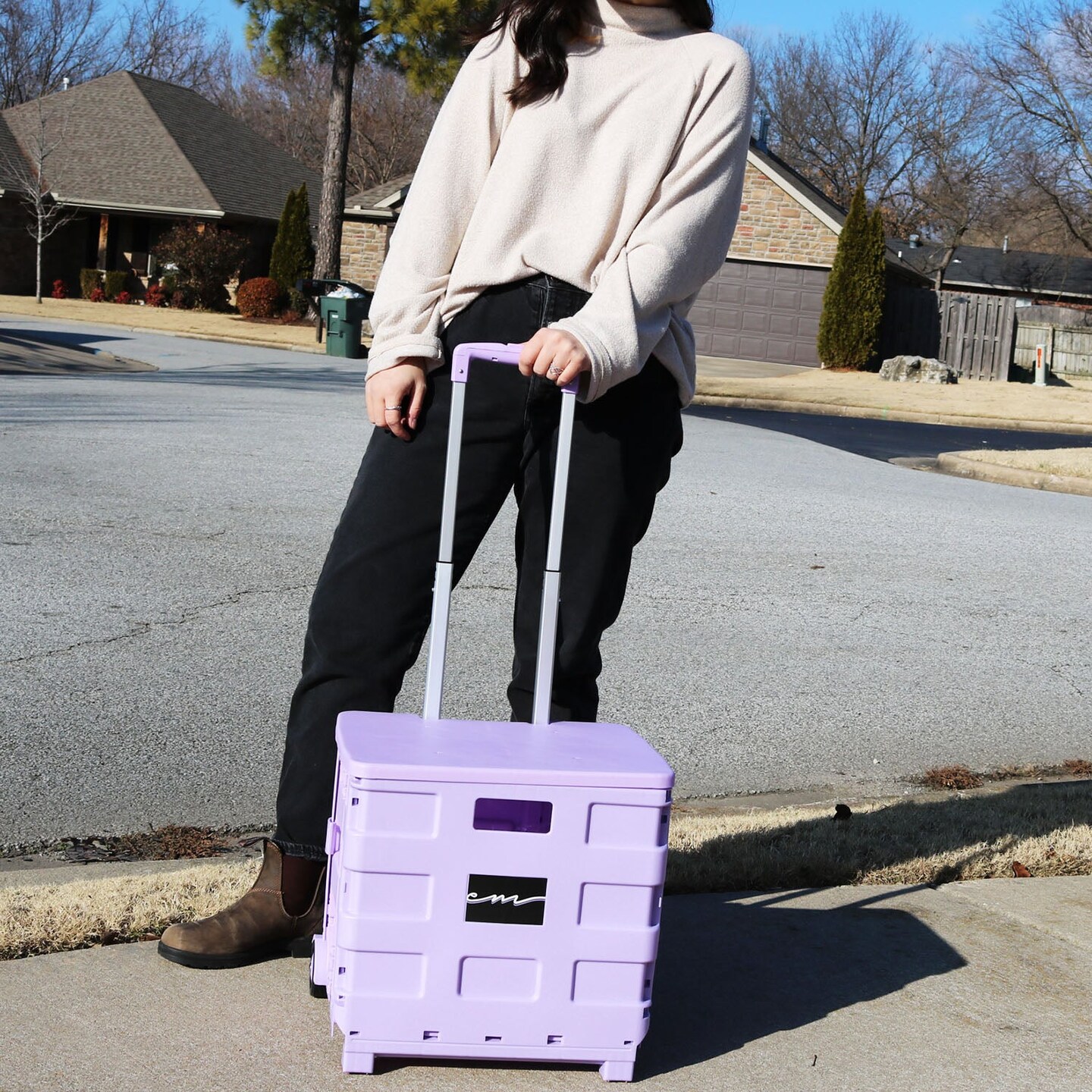 Collapsible Plastic Rolling Craft Cart, Purple