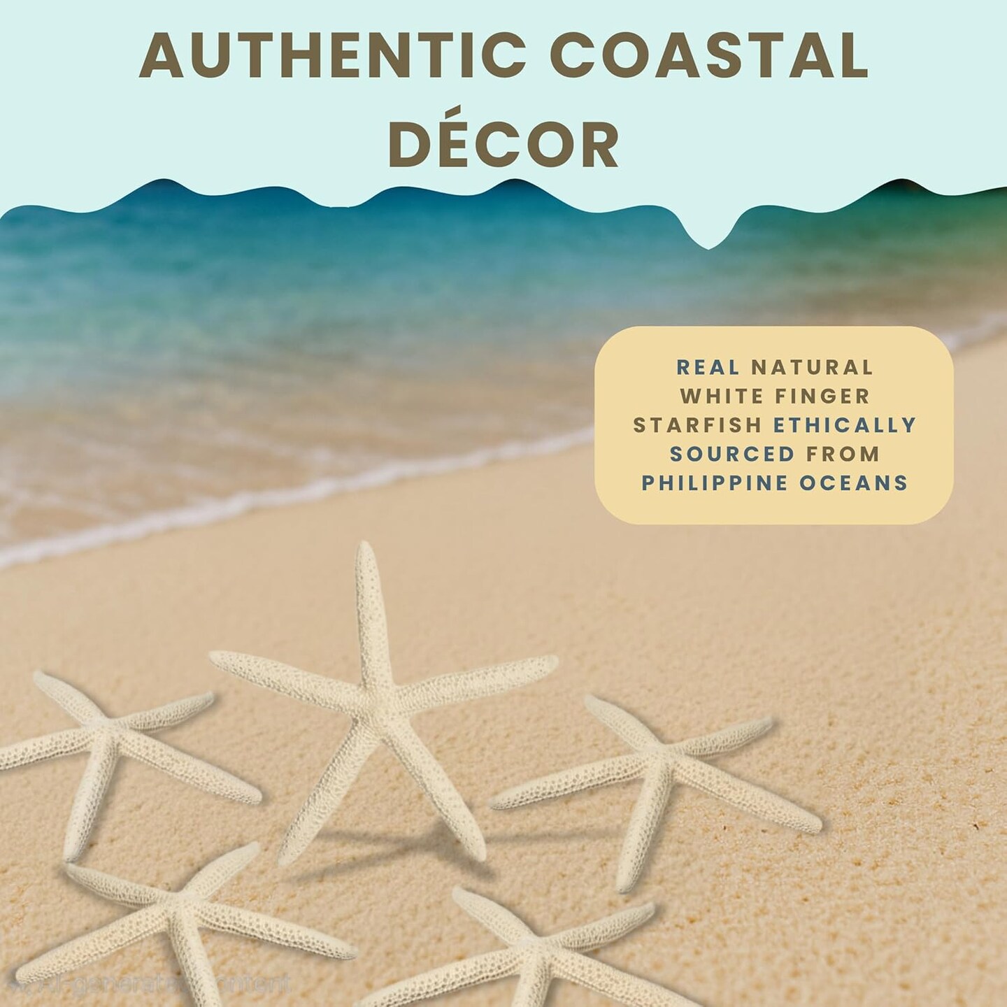 Starfish Decor - Star Fish for Craft - 6pk Real 3-4&#x22; White Sea Stars - Beach Wedding Decor - Coastal Party Decorations - Seashell Decor