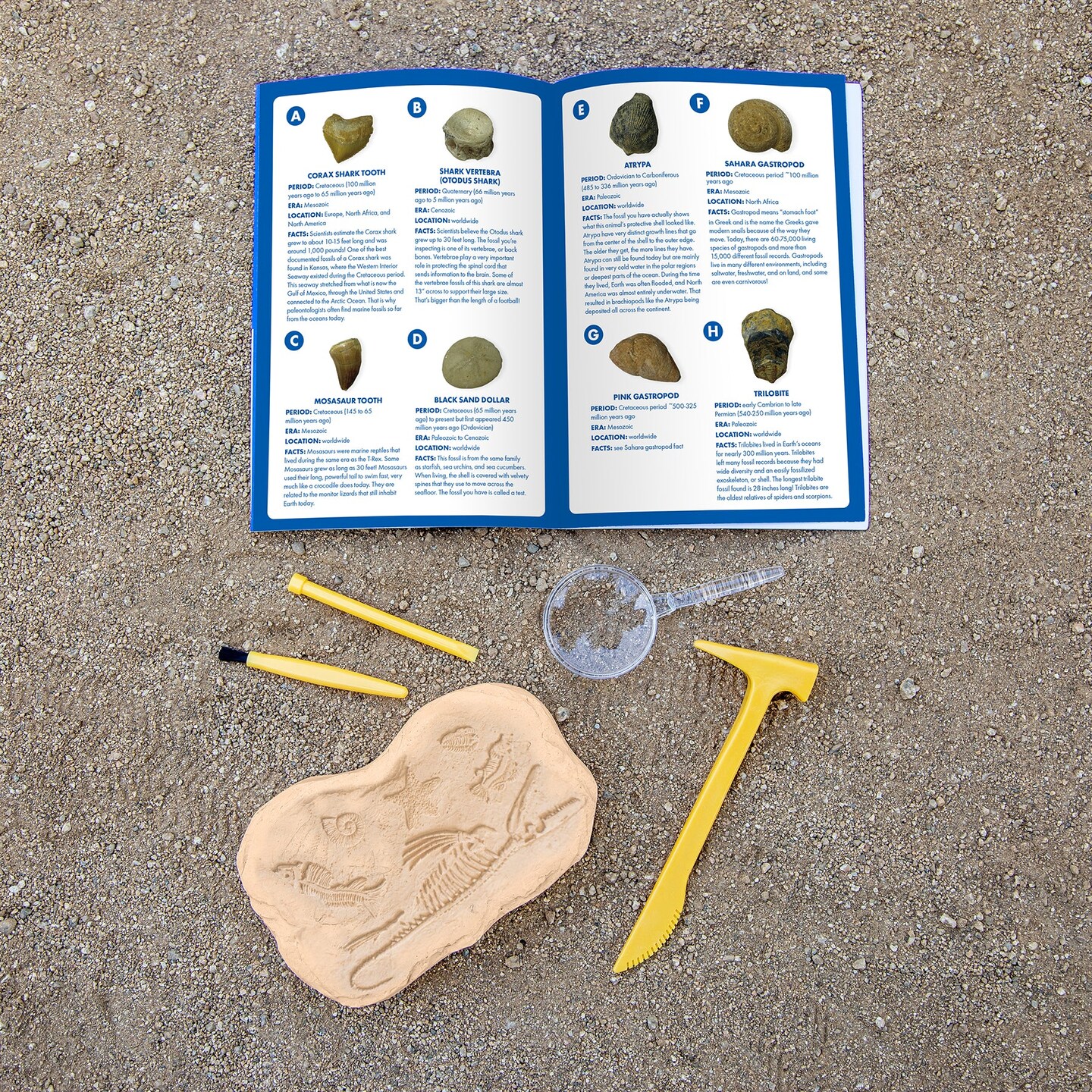 GeoSafari&#xAE; Jr. Fossil Excavation Kit
