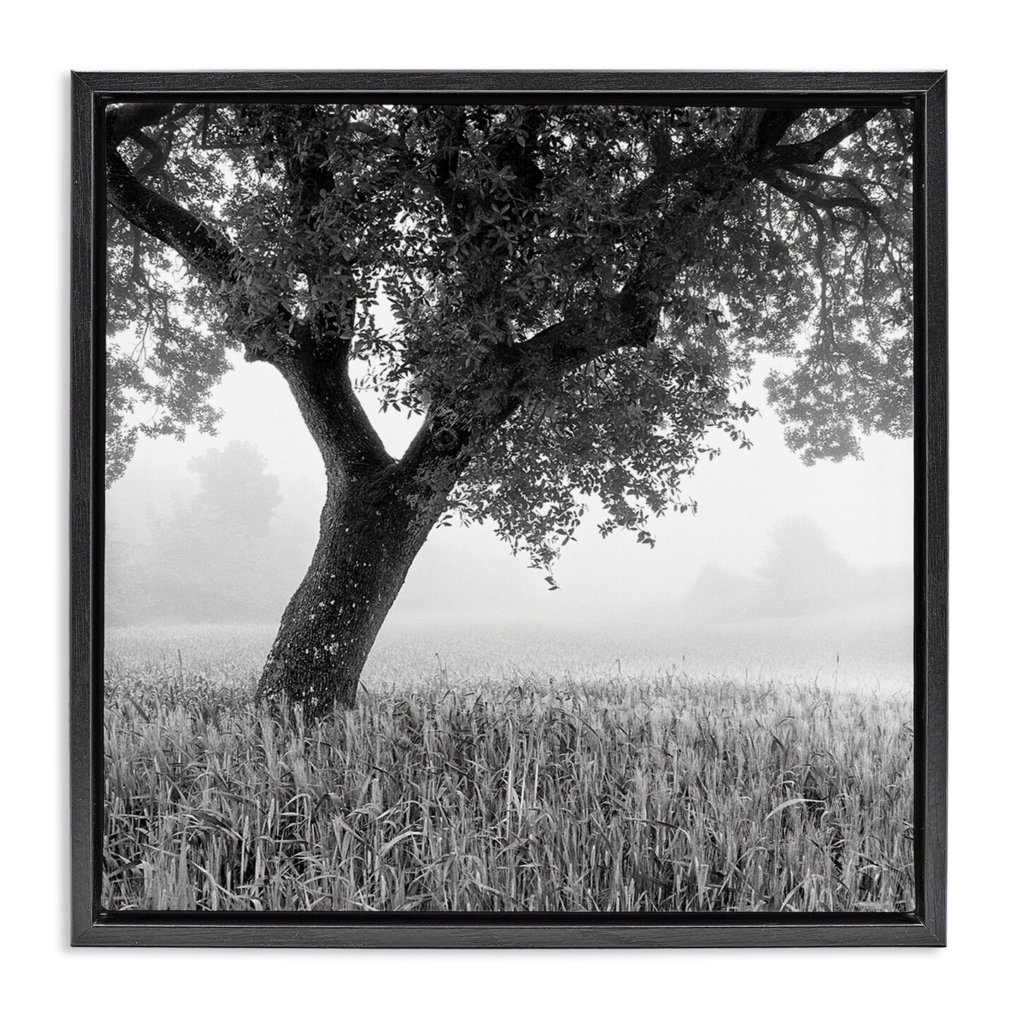 Stupell Industries Tuscan Morning Scenery Framed Floater Canvas Wall Art Design by Chip Forelli
