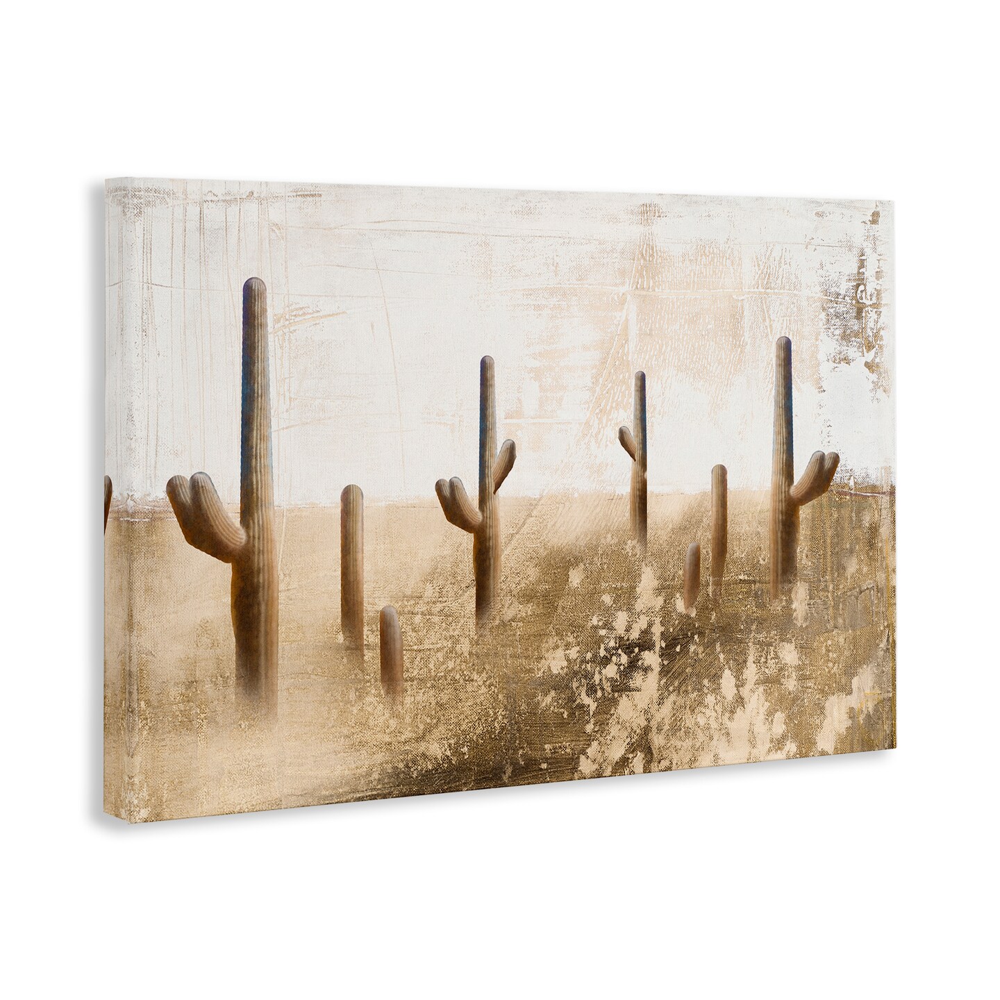 Stupell Industries Sepia Cacti Field Canvas Wall Art Design by Dan Meneely