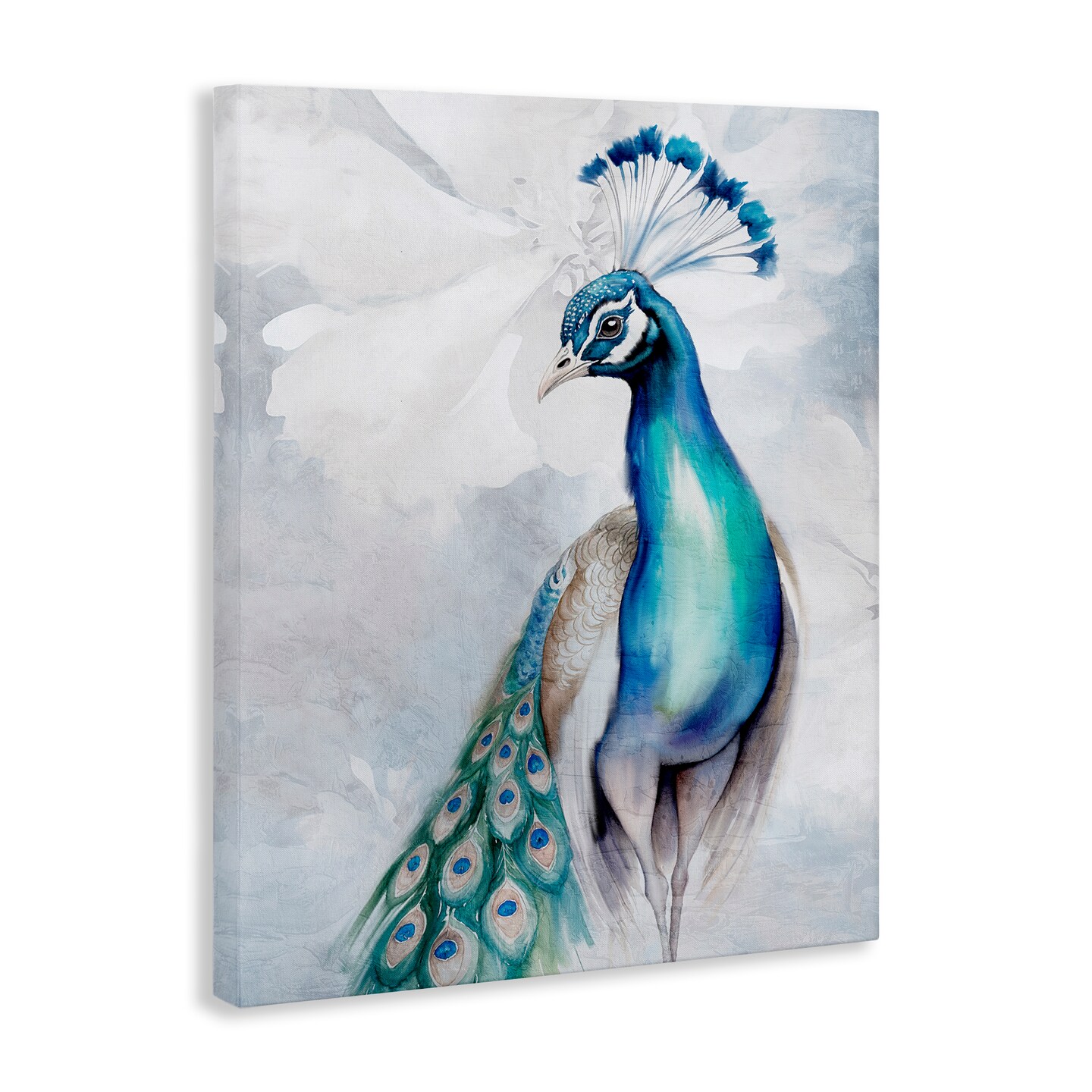 Stupell Industries Soft Elegant Peacock Portrait Canvas Wall Art Design by Kim Allen