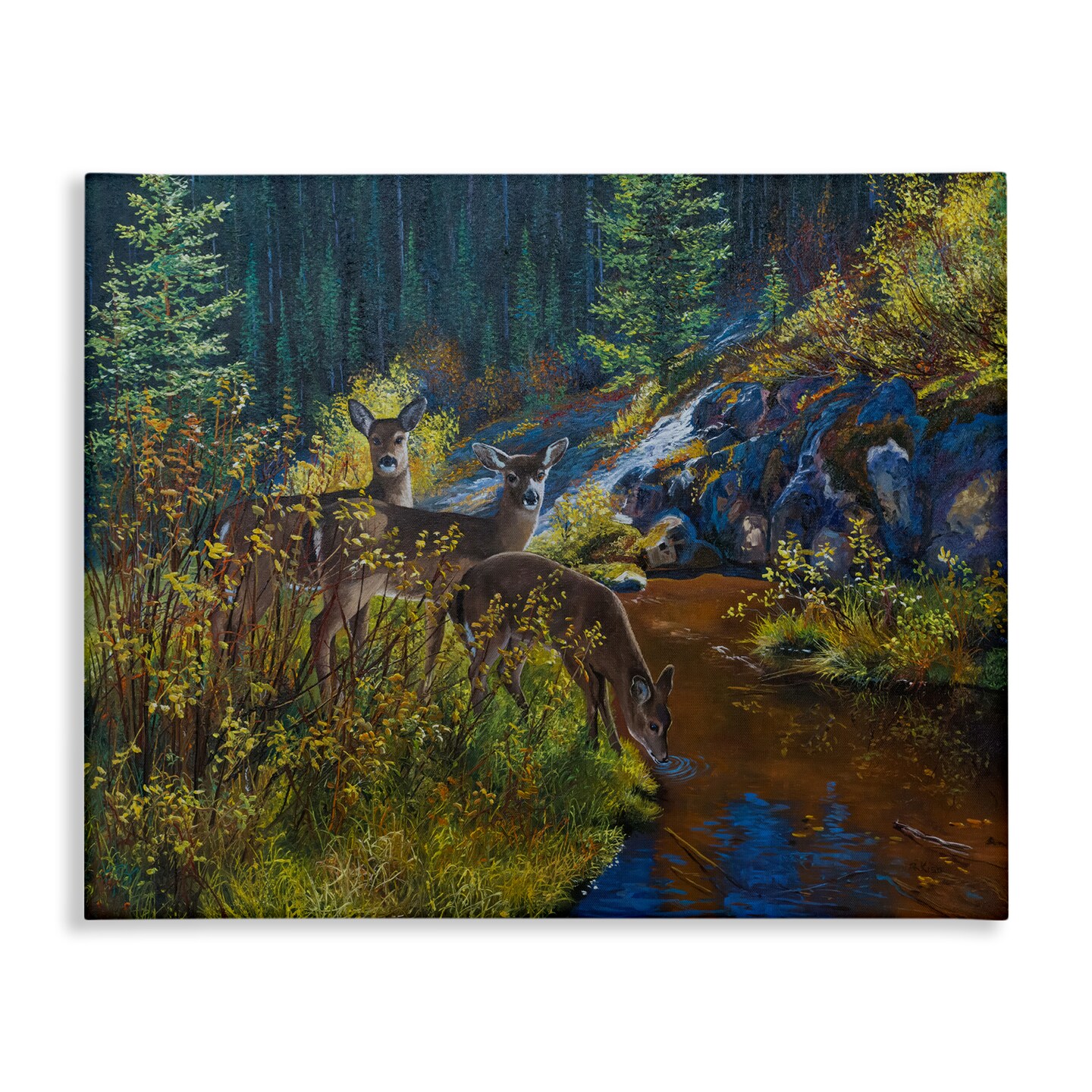 Stupell Industries Deer Drinking from River Canvas Wall Art Design by Andrew Kiss