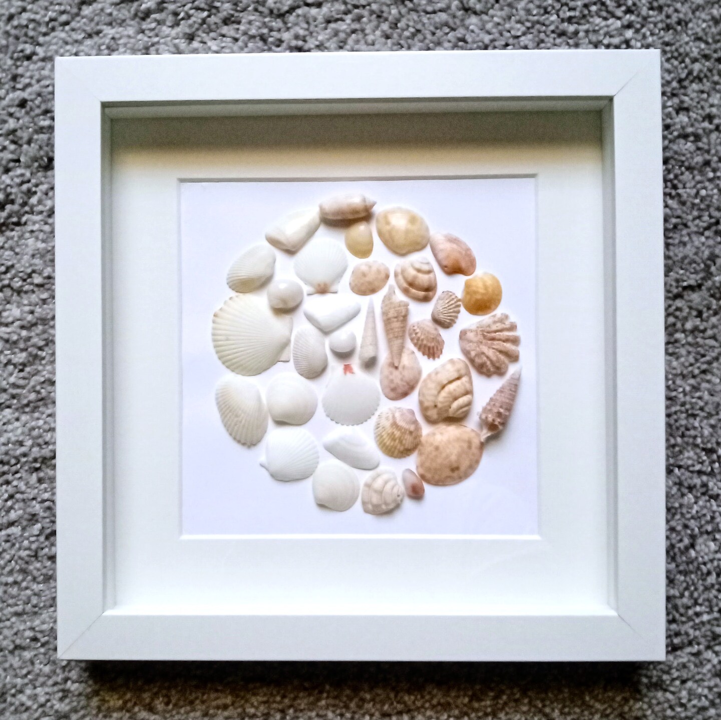 8x8 Shadow Box Framed Seashell Art | MakerPlace by Michaels