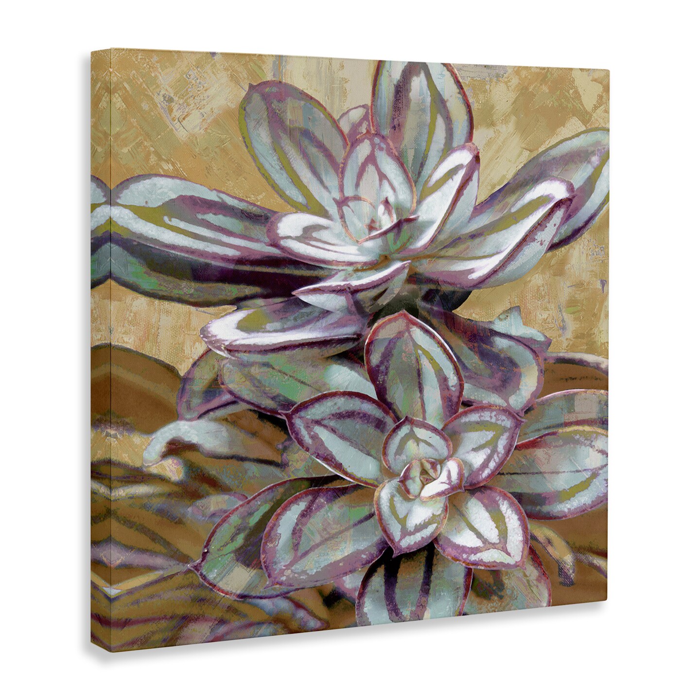 Stupell Industries Rustic Desert Succulents Canvas Wall Art Design by Lindsay Benson