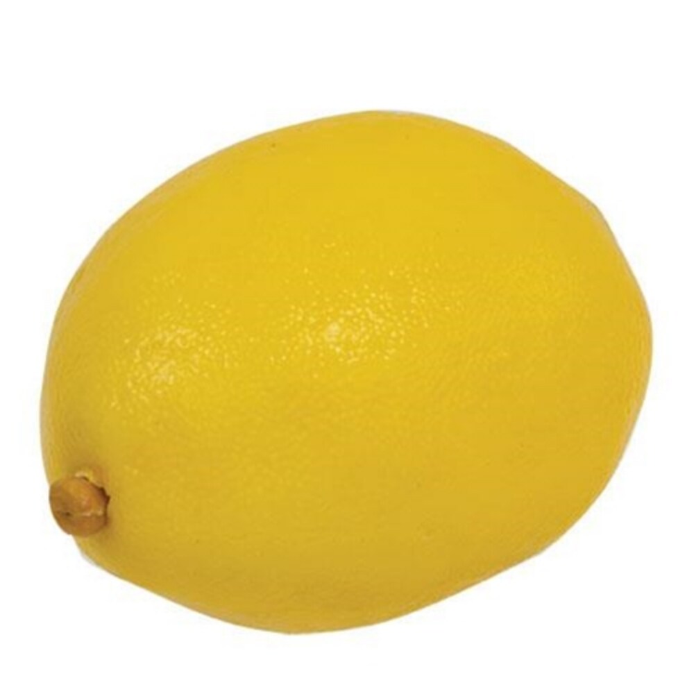 5-set Artificial Lemon Fillers