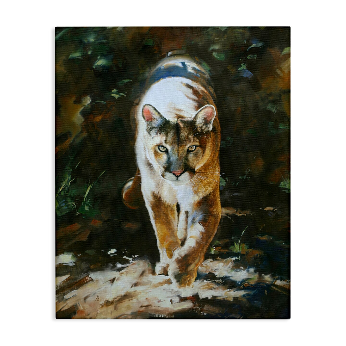 Stupell Industries Out of Shadows Panther Canvas Wall Art Design by Mark Kelso