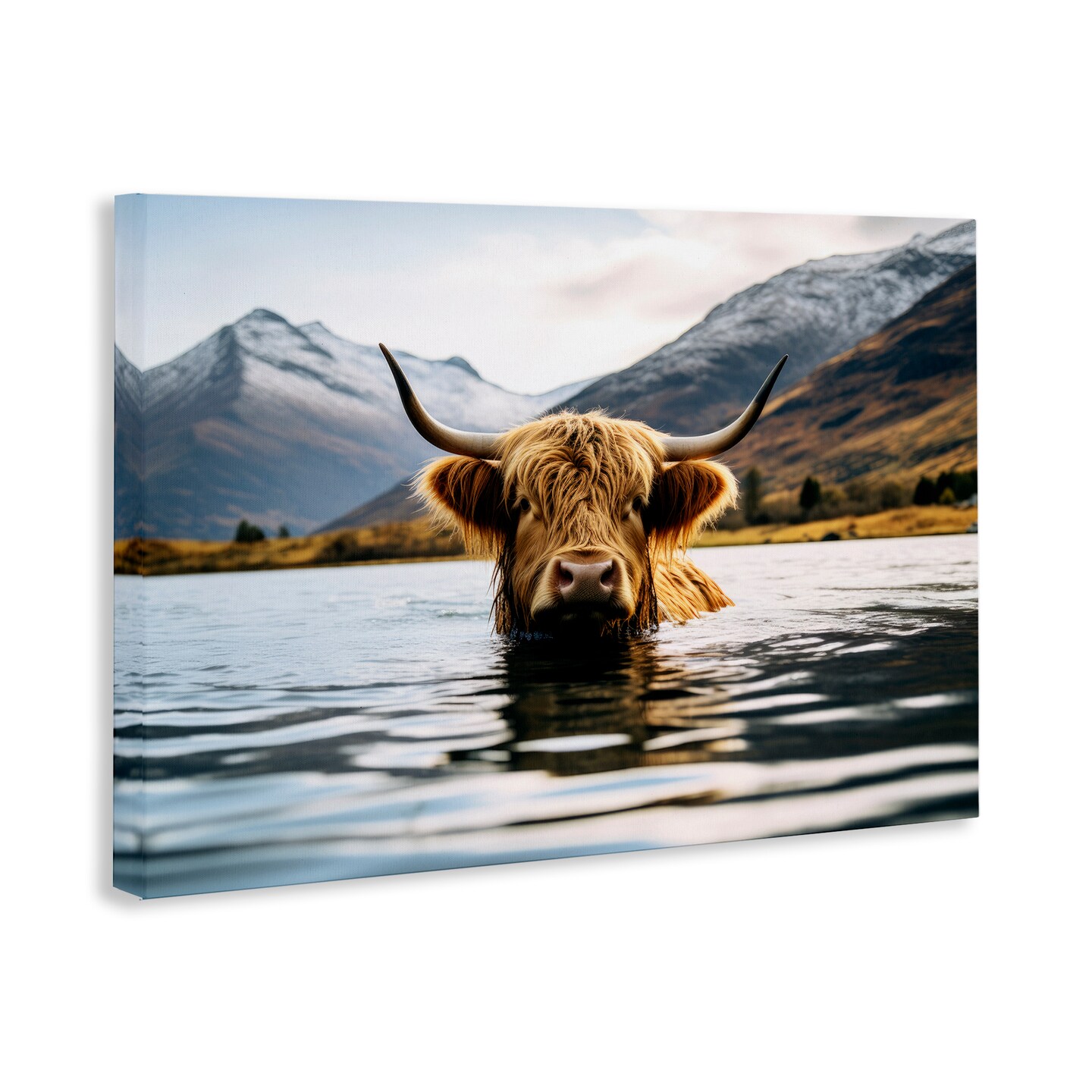 Stupell Industries Cattle Peeking from Water Canvas Wall Art Design by Raymond Powers
