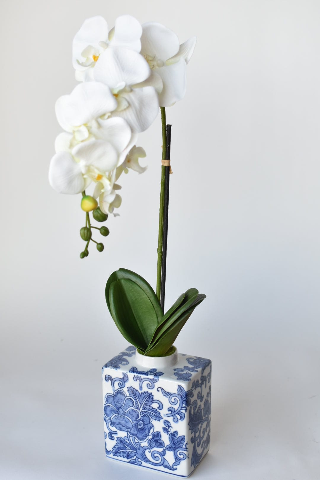 22&#x22; Faux Phalaenopsis Orchid in Blue/White Container - 1OR