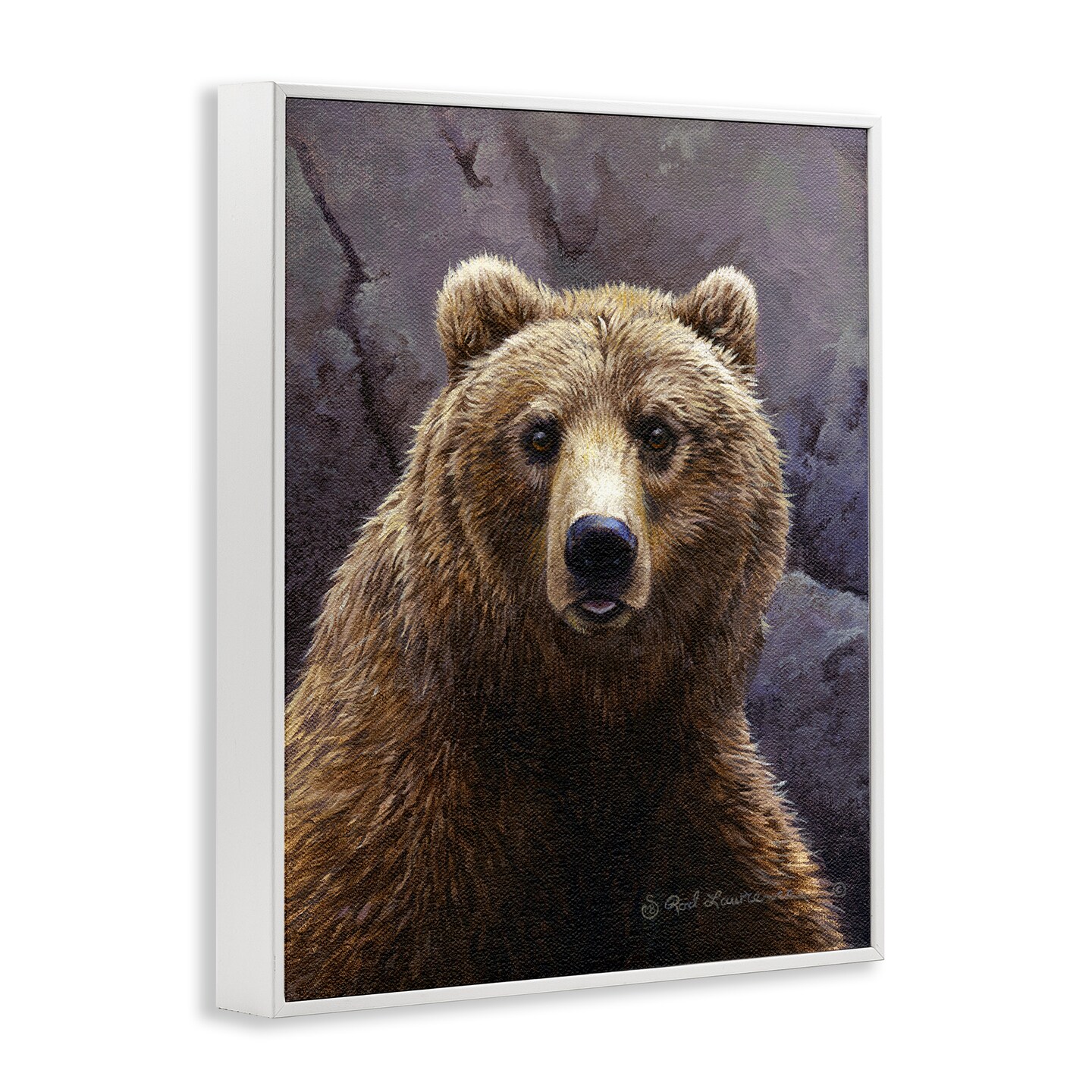 Stupell Industries Surprised Bear Portrait Framed Giclee Wall Art Design by Rod Lawrence