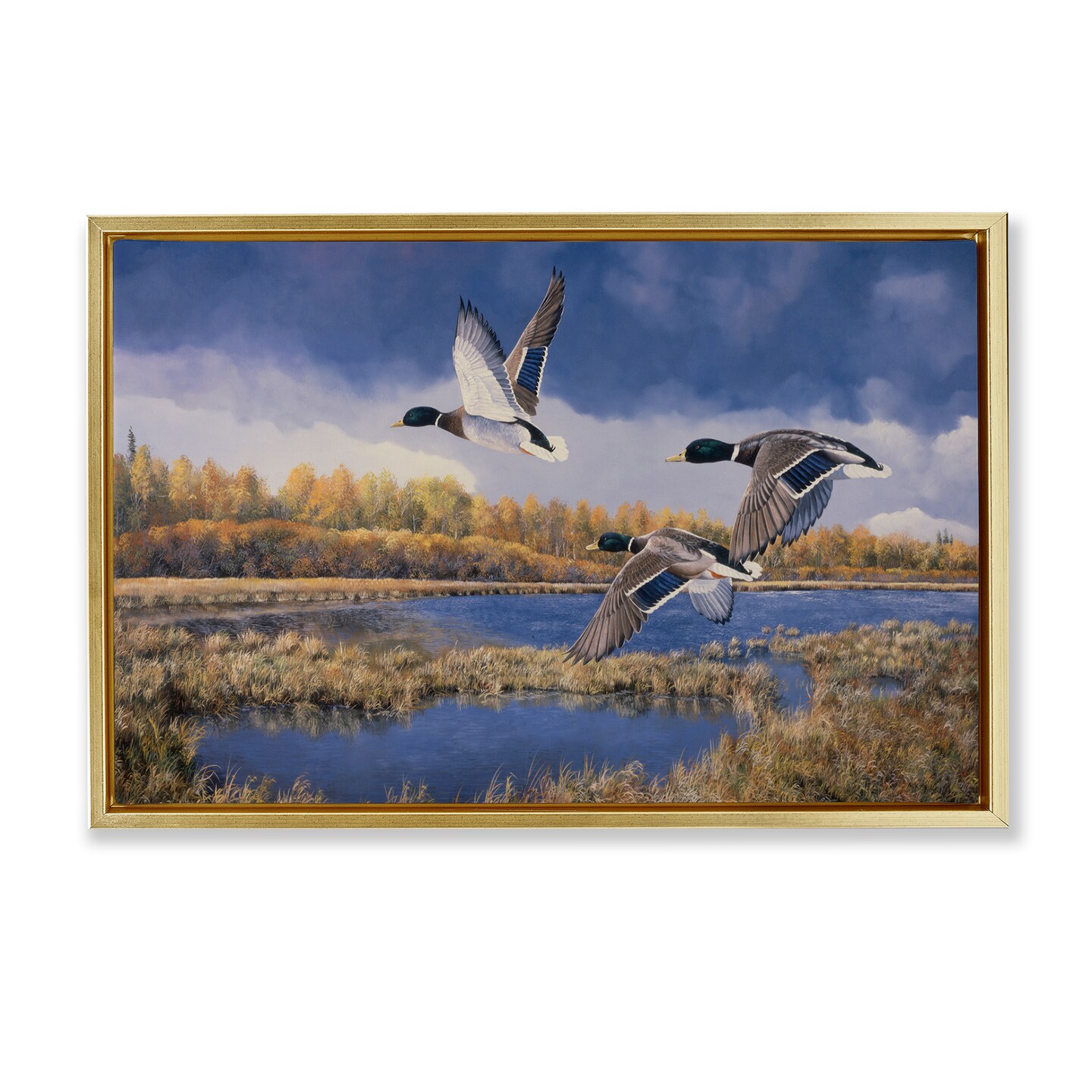 Stupell Industries Ducks Heading South Framed Floater Canvas Wall Art Design by Andrew Kiss
