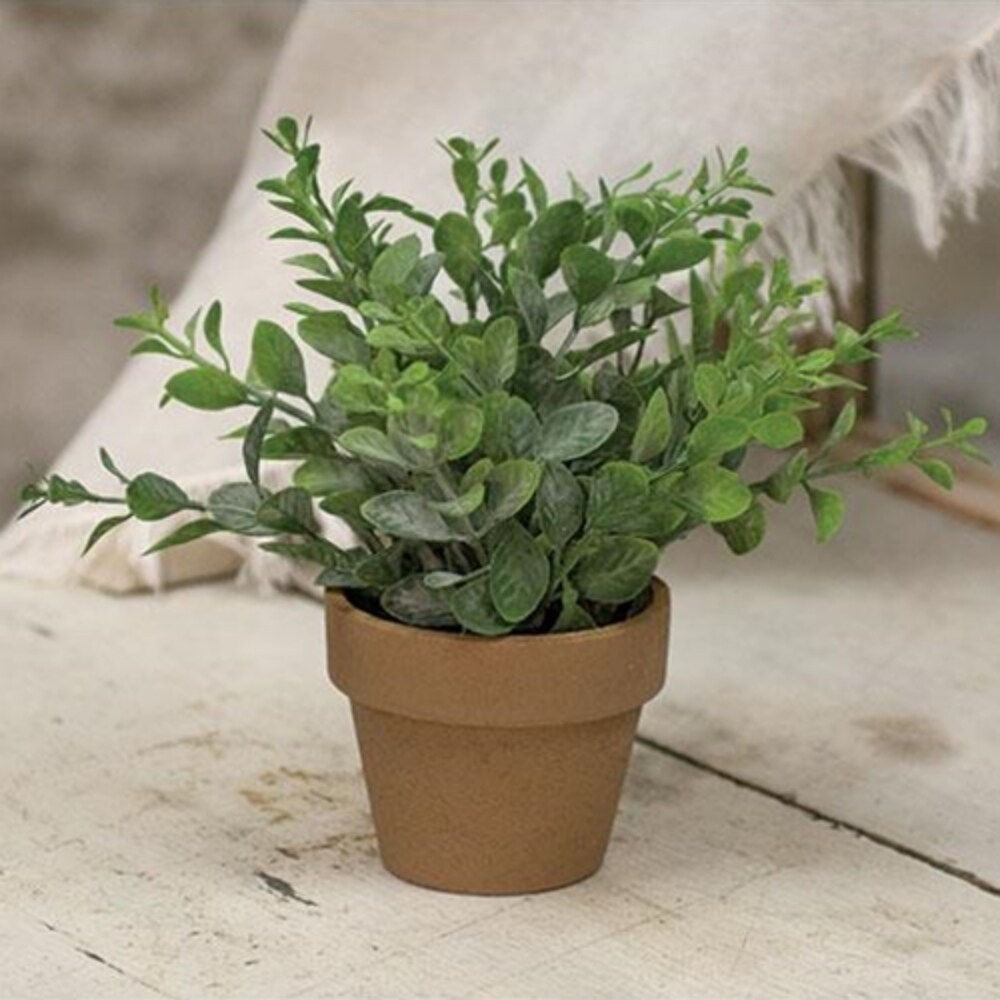 Gatehouse Herb Terra Cotta Pot 6&#x22;