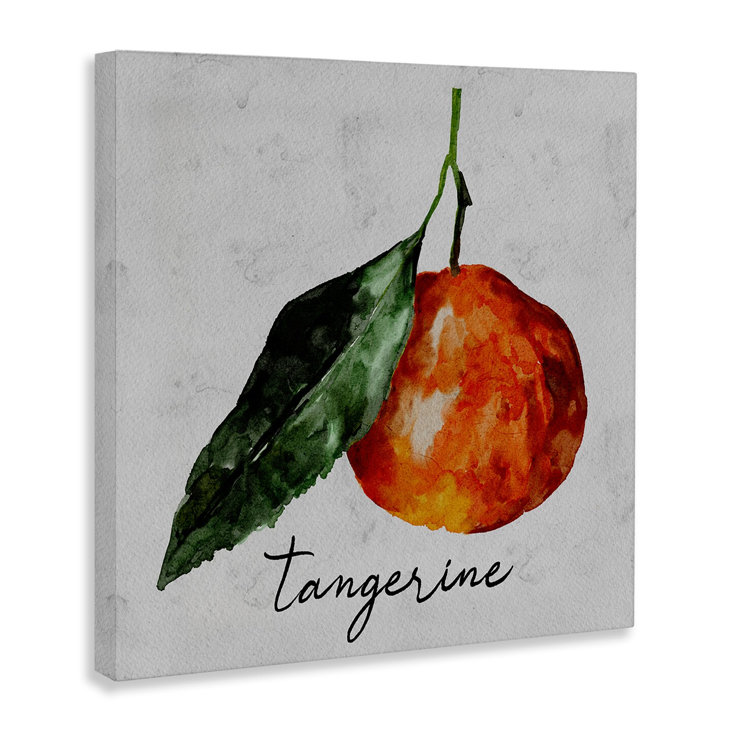 Stupell Industries Vintage Tangerine Fruit Canvas Wall Art Design by Regina Moore