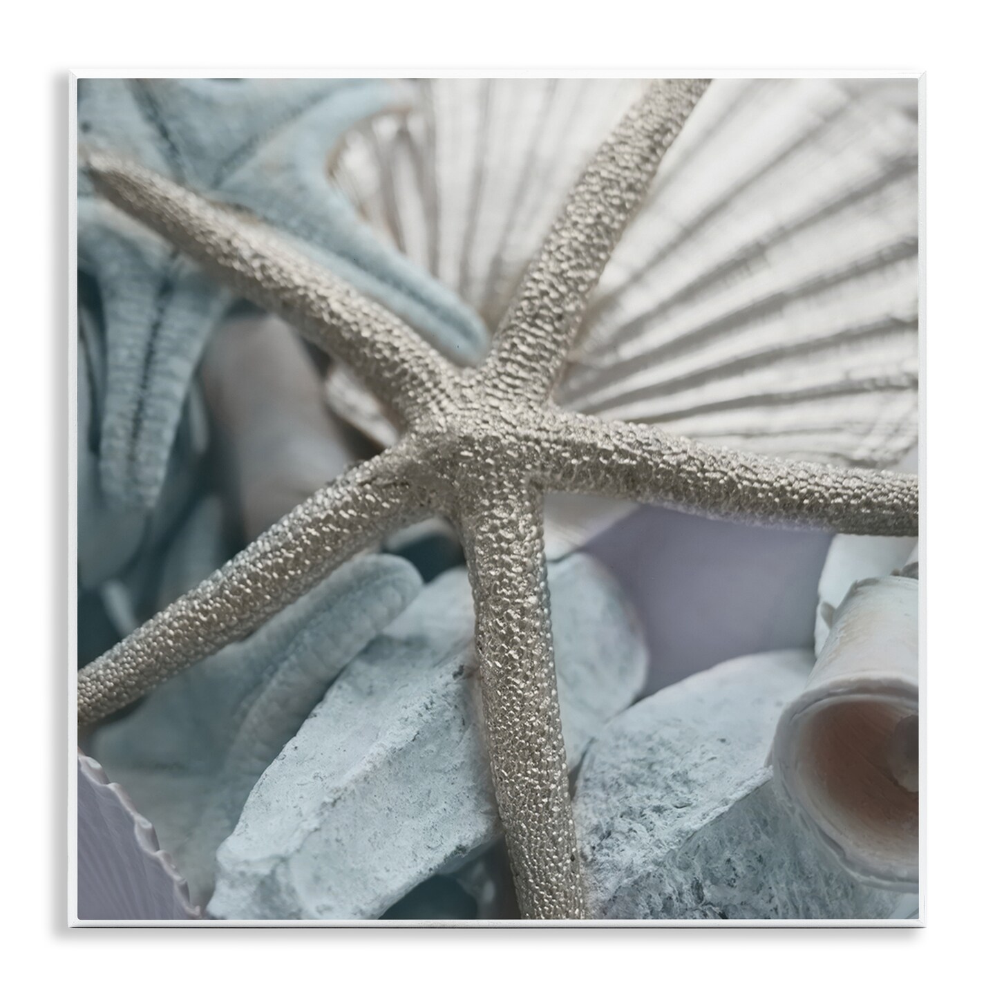 Stupell Industries Seashells &#x26; Starfish Wall Plaque Art Design by Susan Bryant
