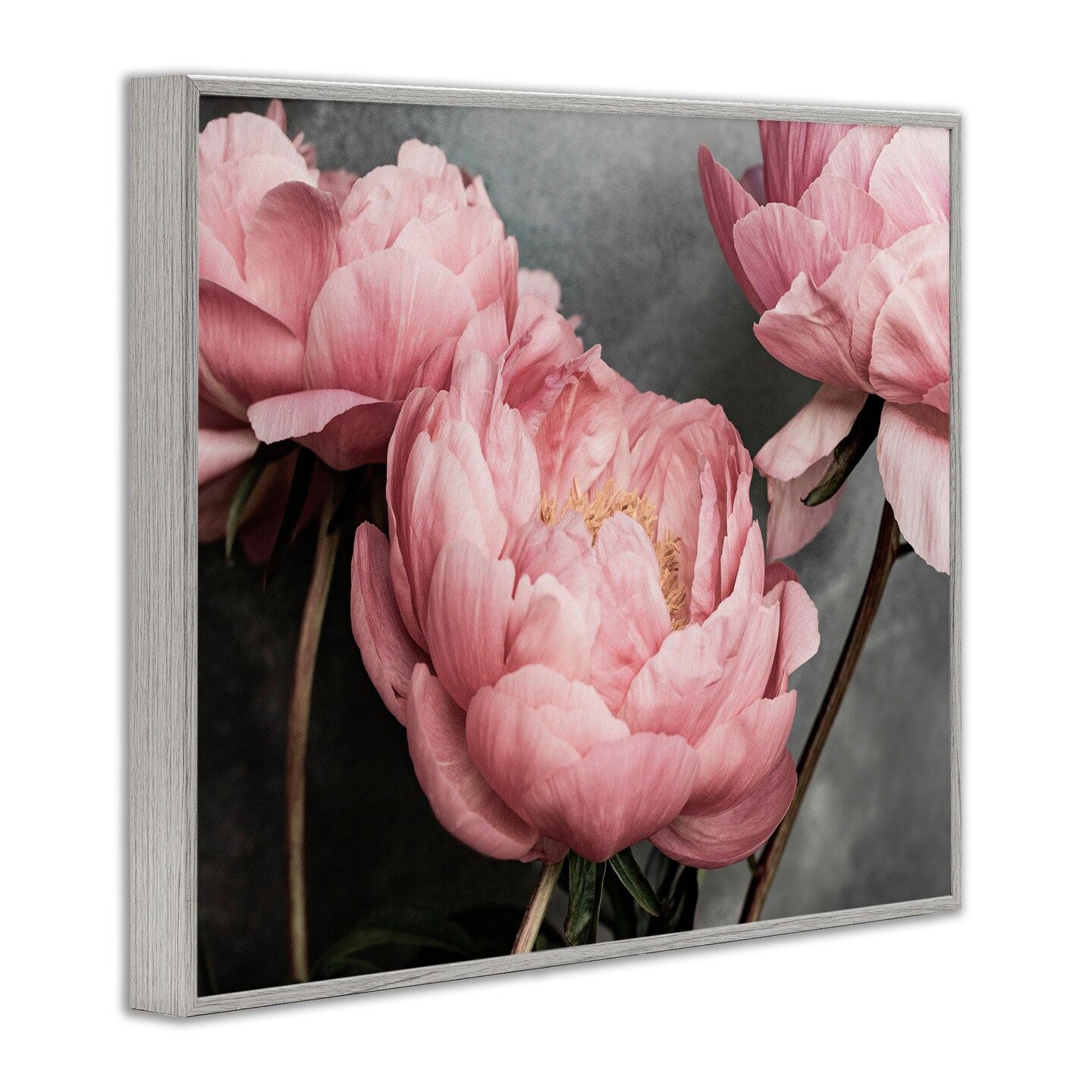Stupell Industries Pink Peonies Trio Framed Giclee Wall Art Design by Sisi and Seb