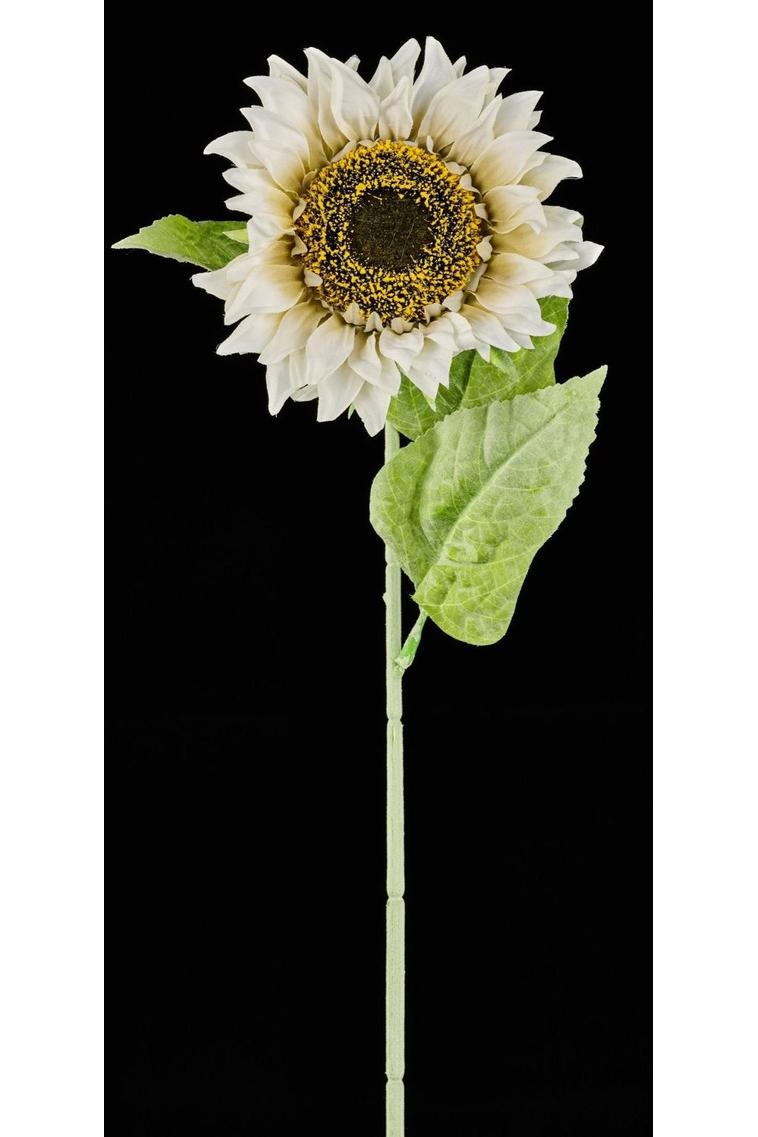 33&#x22; Sunflower Stem: Ivory