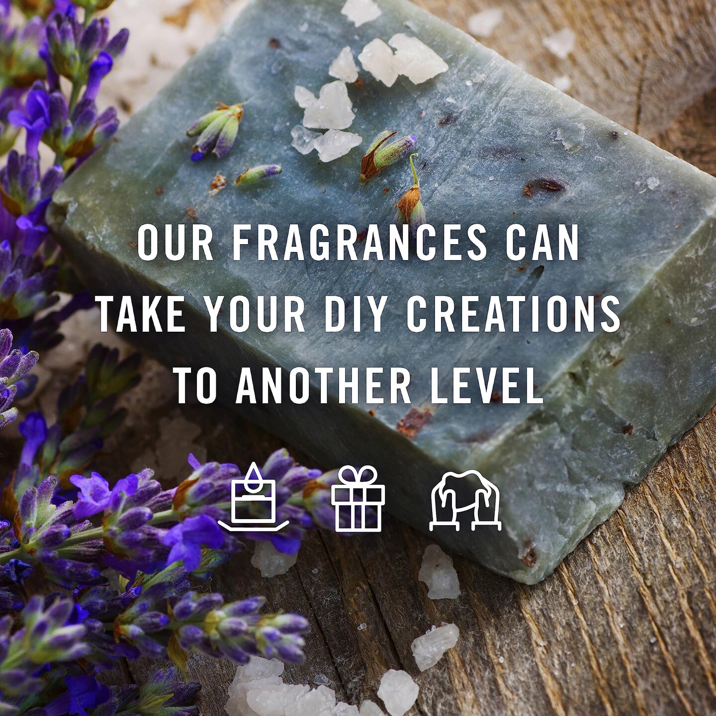 Trading Fragrance Oil Sweet Set | Candle Scents for Candle Making, Freshie Scents, Soap Making Supplies, Diffuser Oil Scents