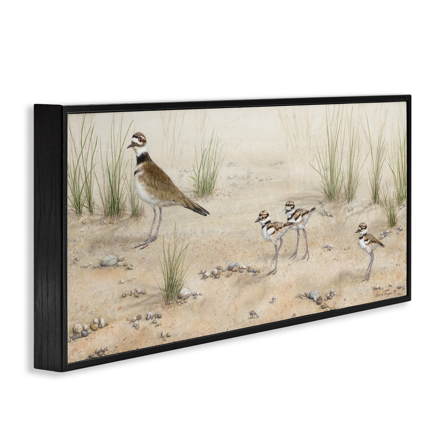 Stupell Industries Kildeer Birds Stepping Framed Giclee Wall Art Design by Valerie Rogers