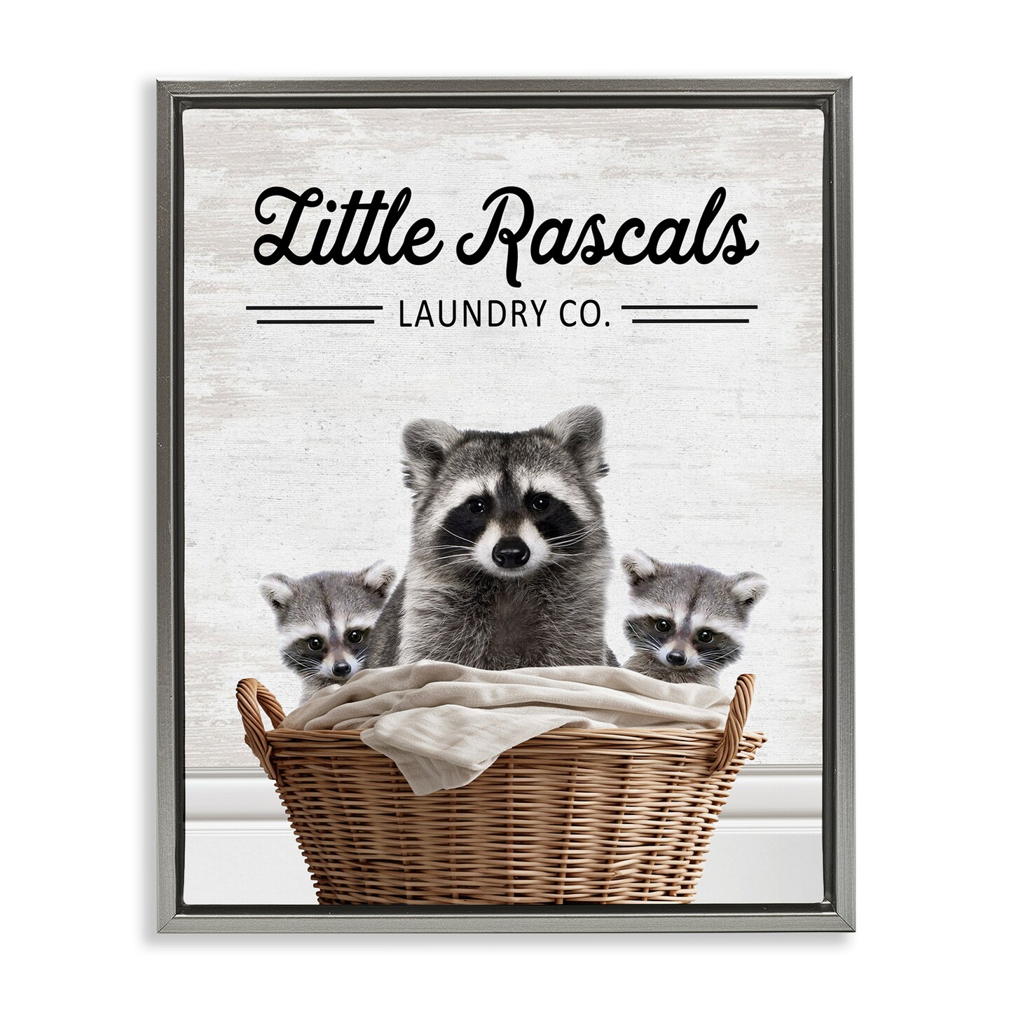 Lottle Rascal Frame Stupell Industries Little Rascals Laundry Raccoons Floating Frame ...