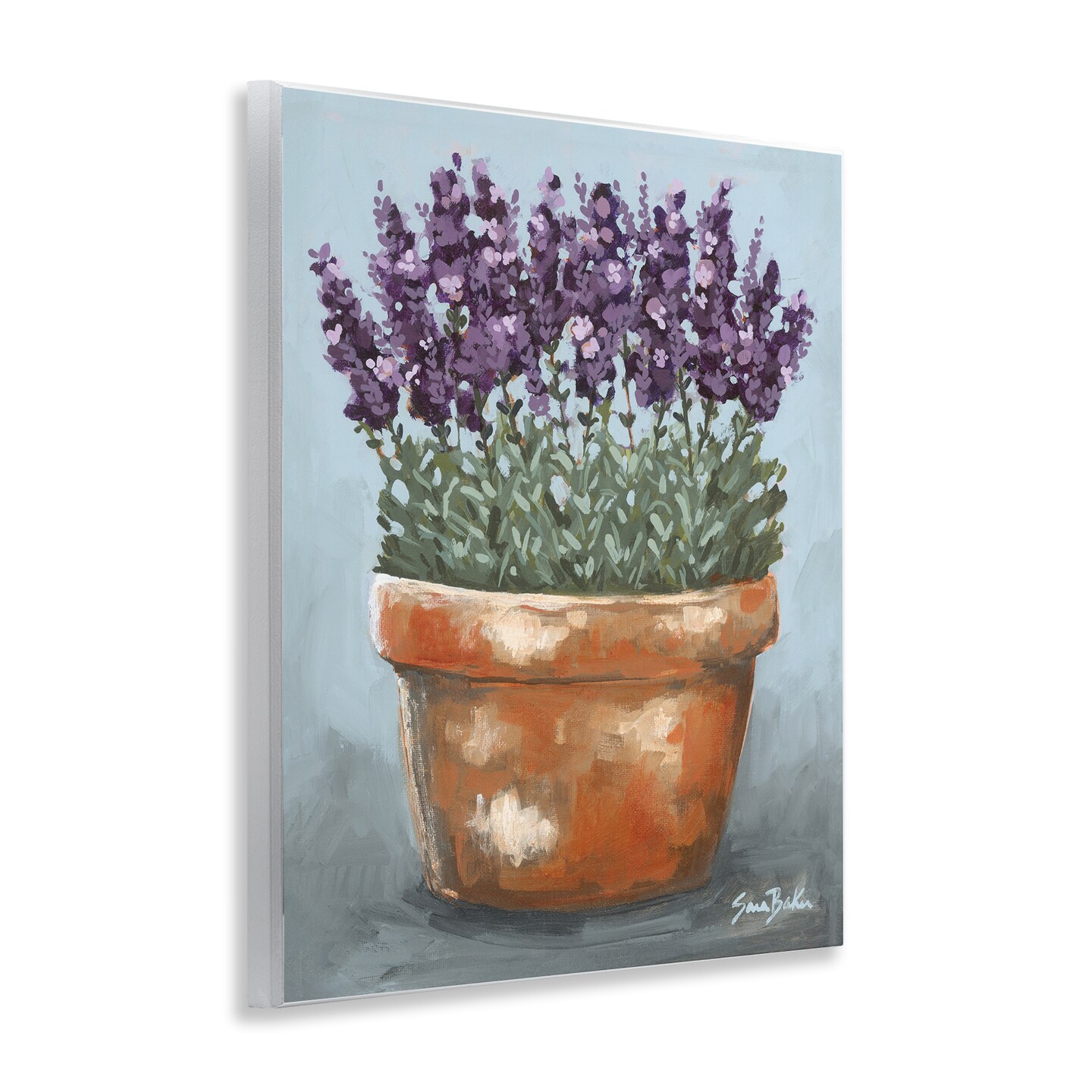 Stupell Industries Potted Lavender Herbs Wall Plaque Design by Sara Baker