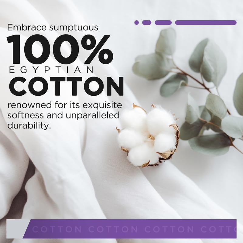 1000 Thread Count Queen White Pillow Cases Set of 2-100% Egyptian Cotton with Long-Staple Combed Pillows for Sleeping, Soft & Silky Bed Pillow Cover