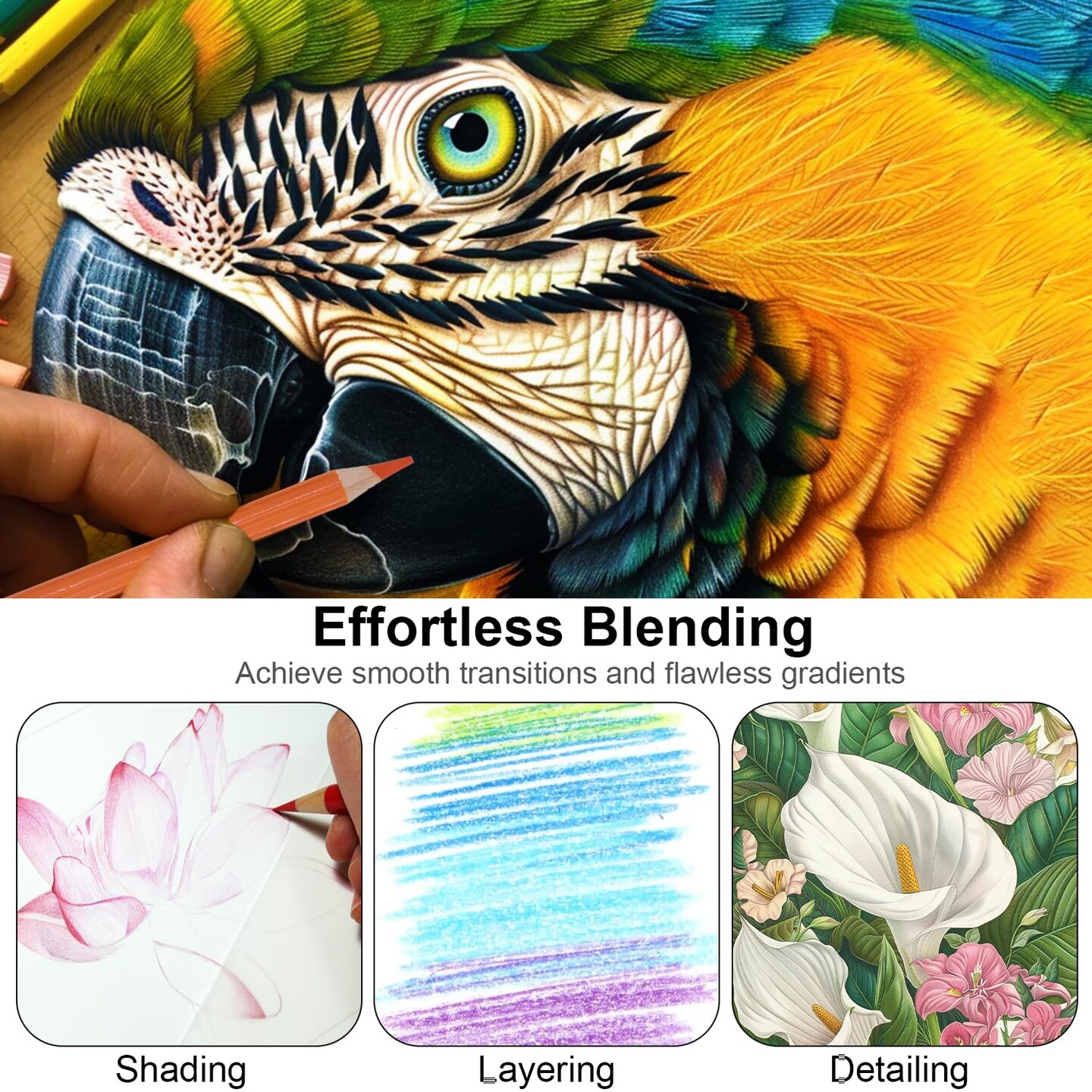 Colored Pencils for Adult Coloring Books, Set of 72 Color Pencils, Oil-Based Core Drawing Pencils, 3.8mm Soft Leads with Adult Coloring Pencils, Professional Art Supplies for Adults, Beginner and Kids