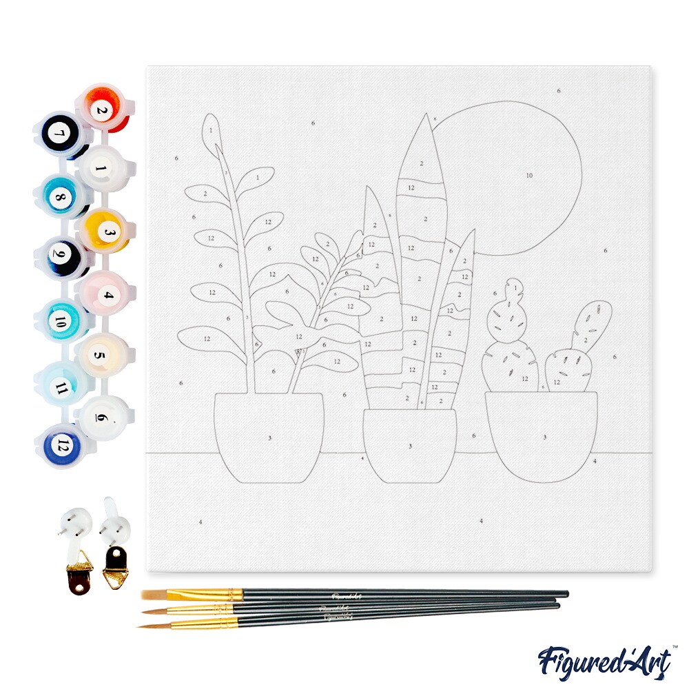 Figured&#x27;Art Mini Paint by Numbers Kit for Adults with Frame Three plant pots Small format 8&#x22;x8&#x22; - Craft Art Painting DIY Canvas Already Stretched on a Wooden Frame