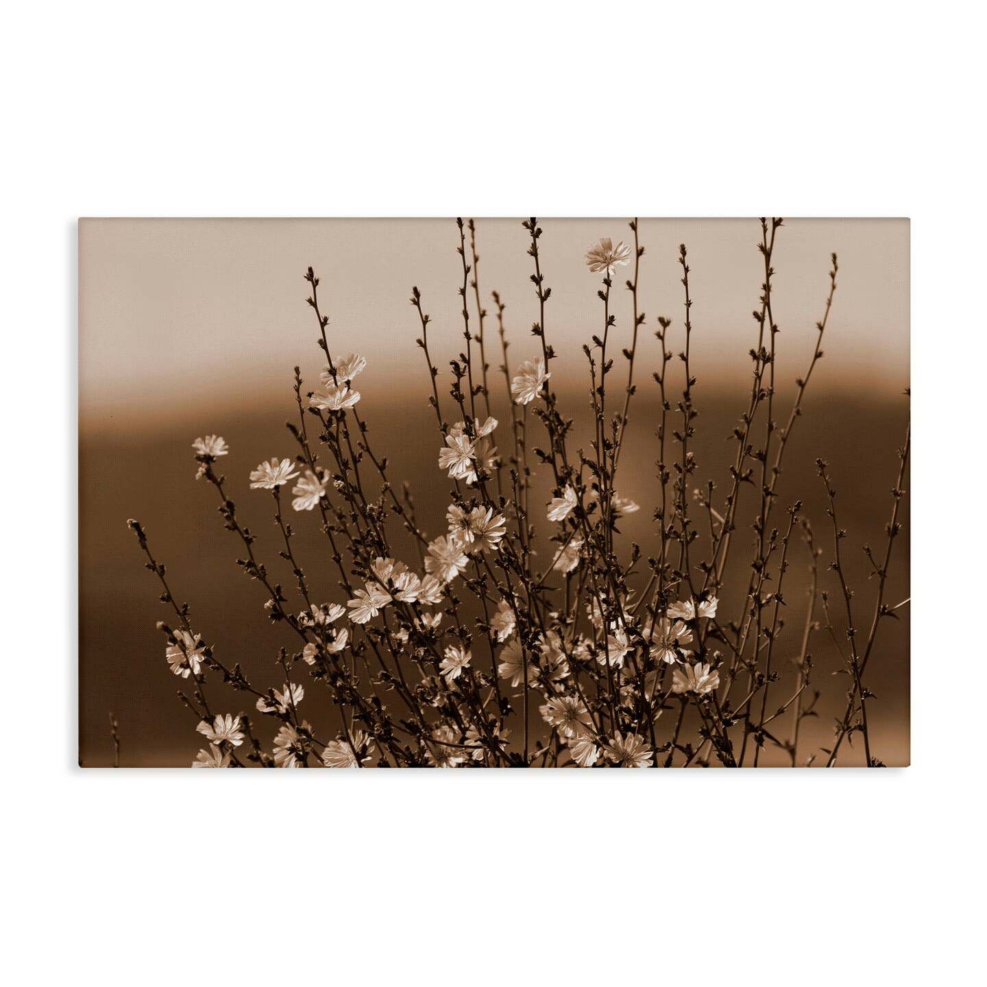 Stupell Industries Tiny Blooming Flowers Canvas Wall Art Design by Nancy Crowell