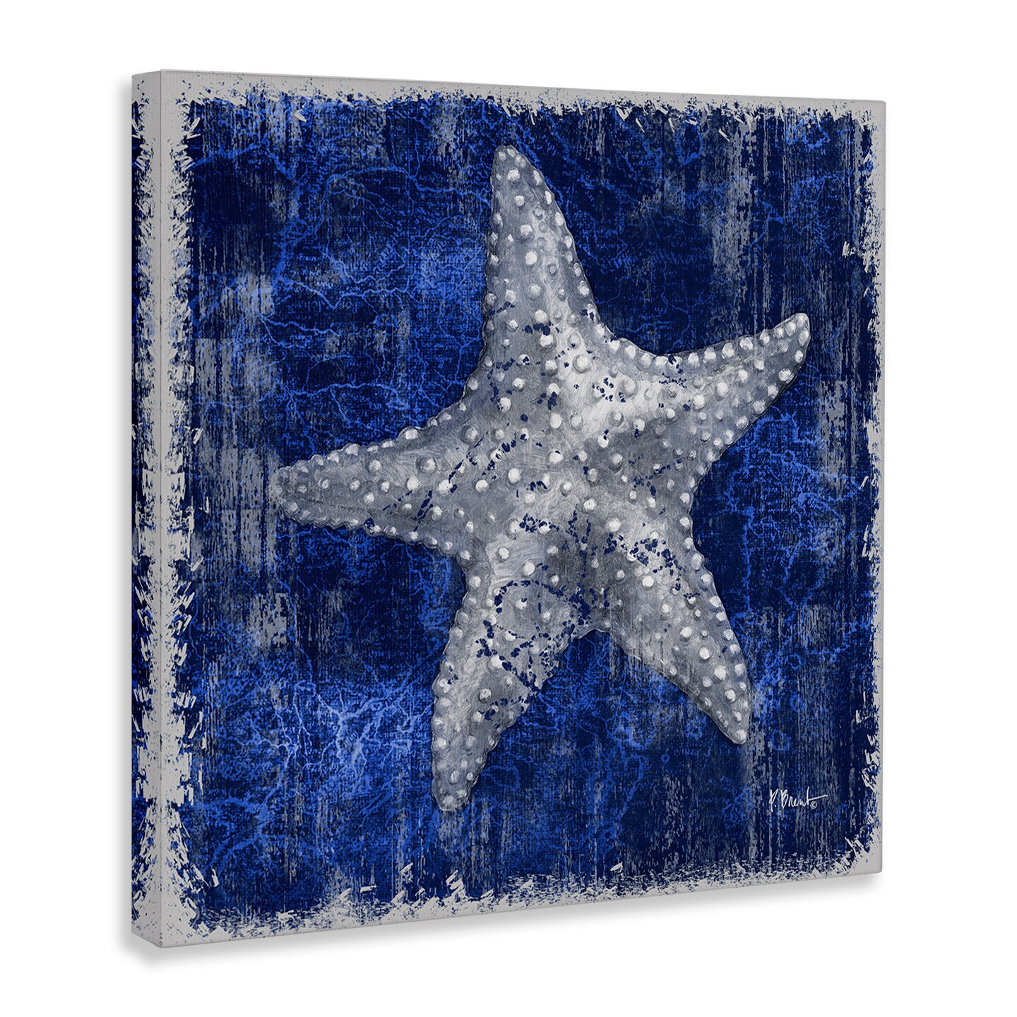 Stupell Industries Rustic Indigo Starfish Canvas Wall Art Design by Paul Brent